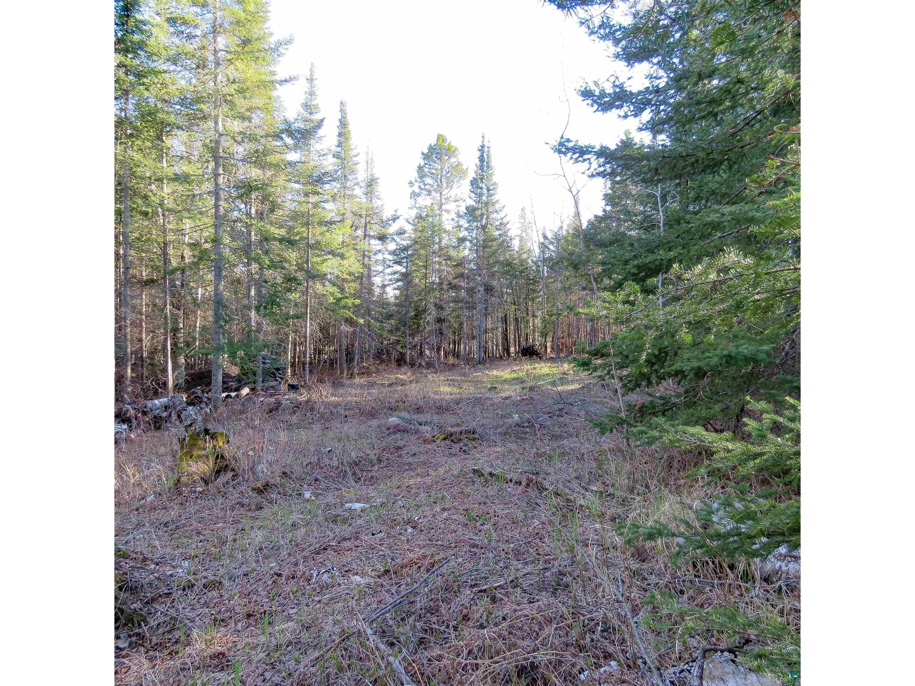 435 Cramer Rd Schroeder MN 55614 6125444 image21