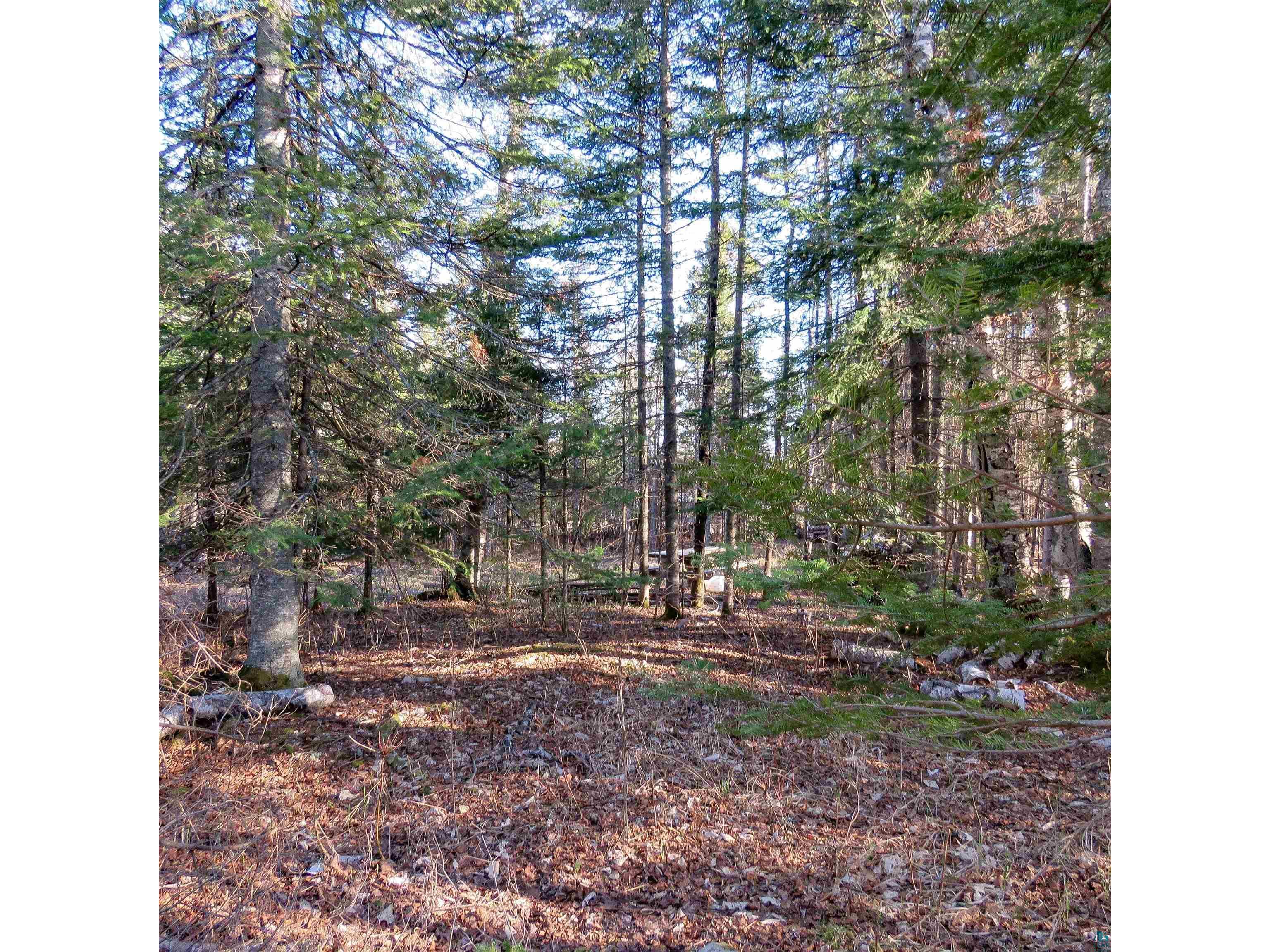 435 Cramer Rd Schroeder MN 55614 6125444 image22