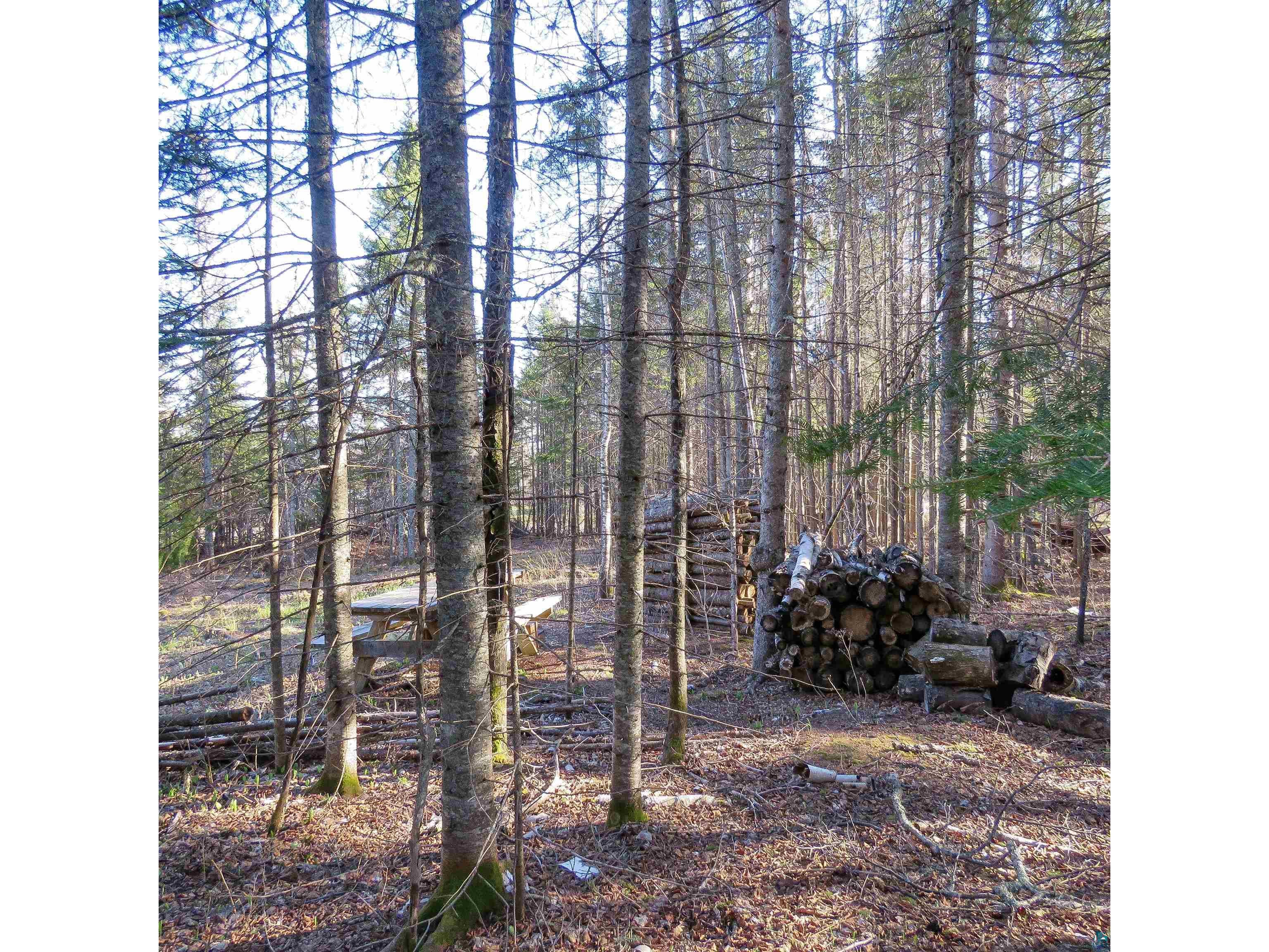 435 Cramer Rd Schroeder MN 55614 6125444 image23