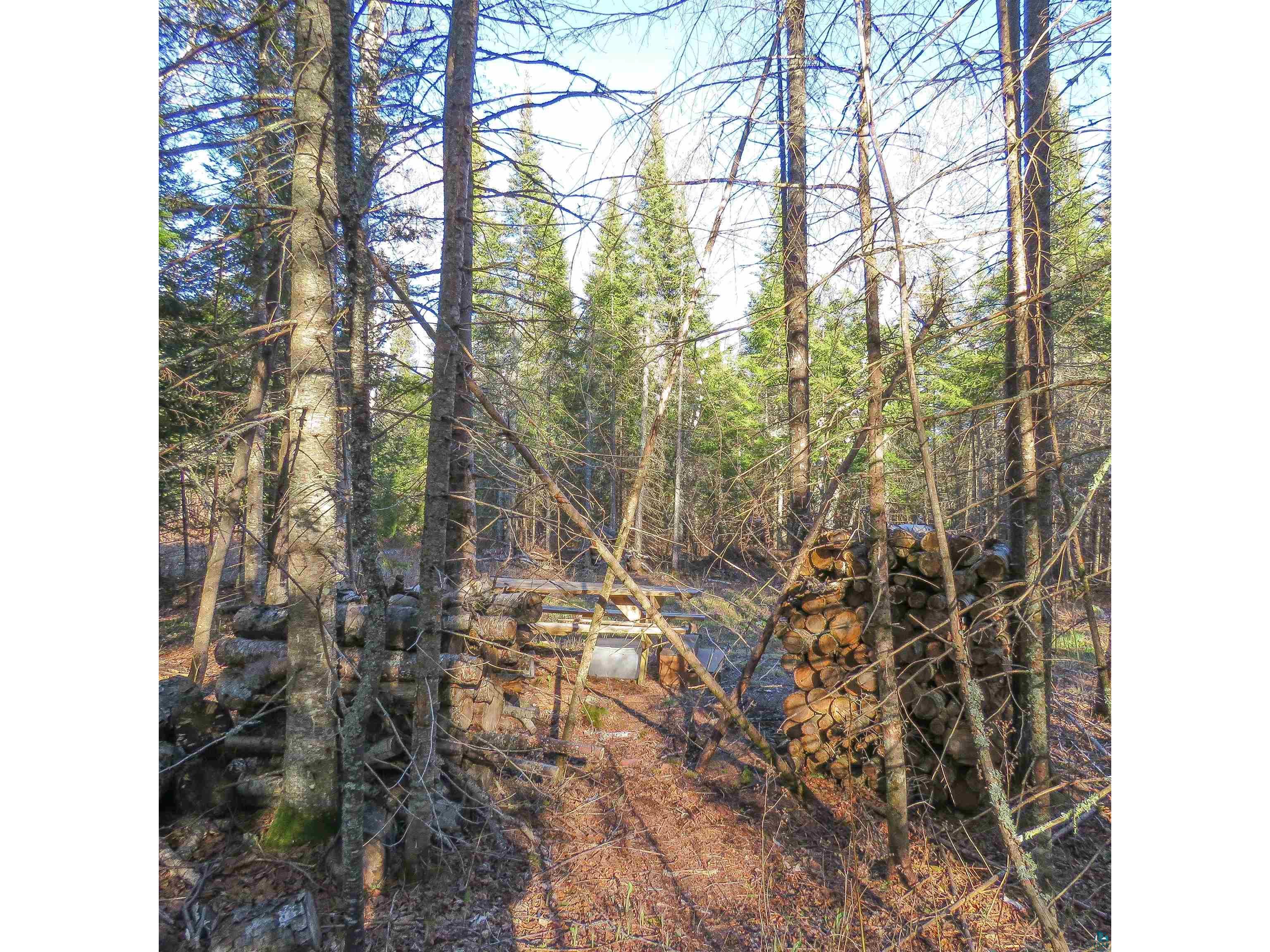 435 Cramer Rd Schroeder MN 55614 6125444 image25