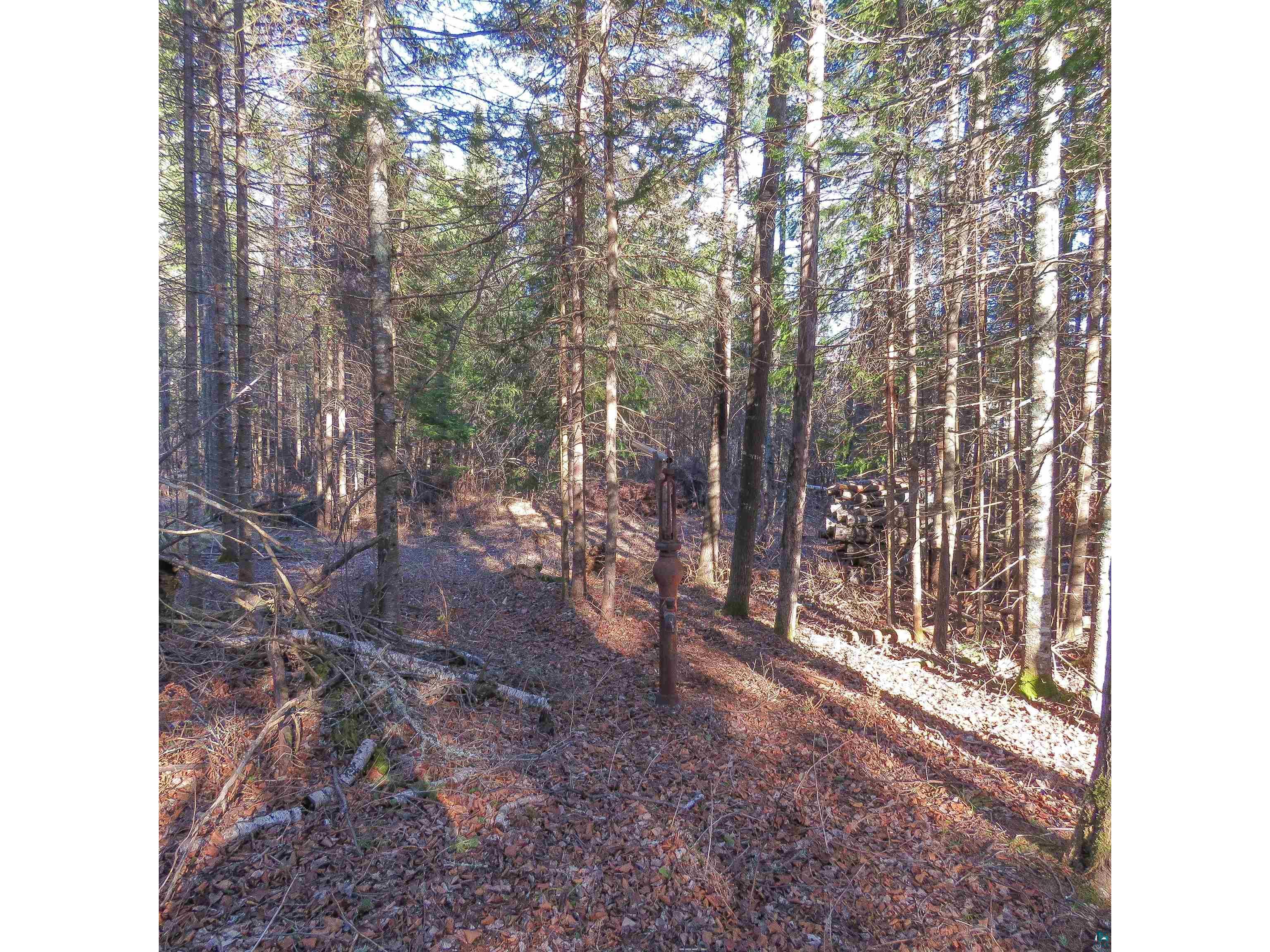 435 Cramer Rd Schroeder MN 55614 6125444 image27