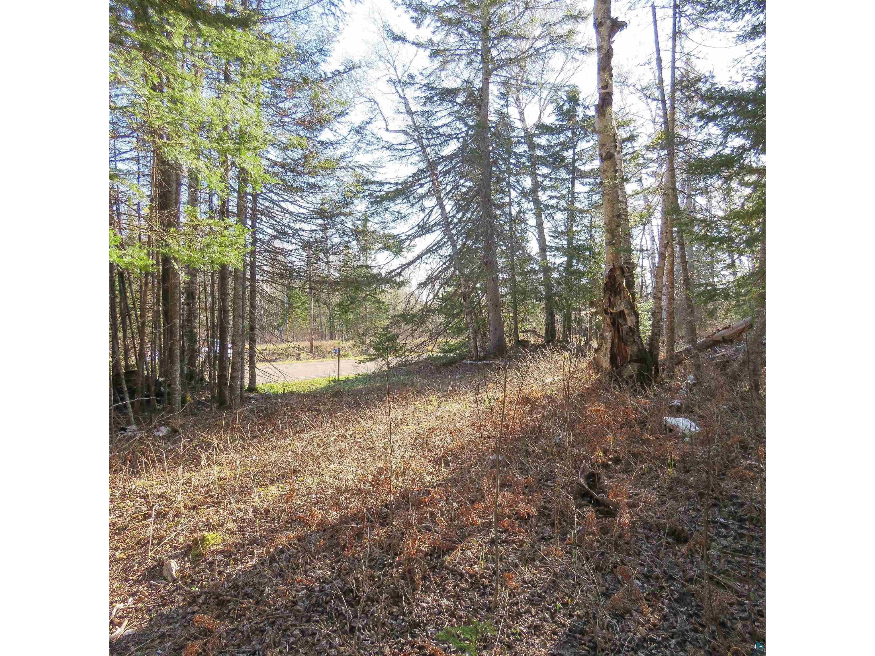 435 Cramer Rd Schroeder MN 55614 6125444 image28