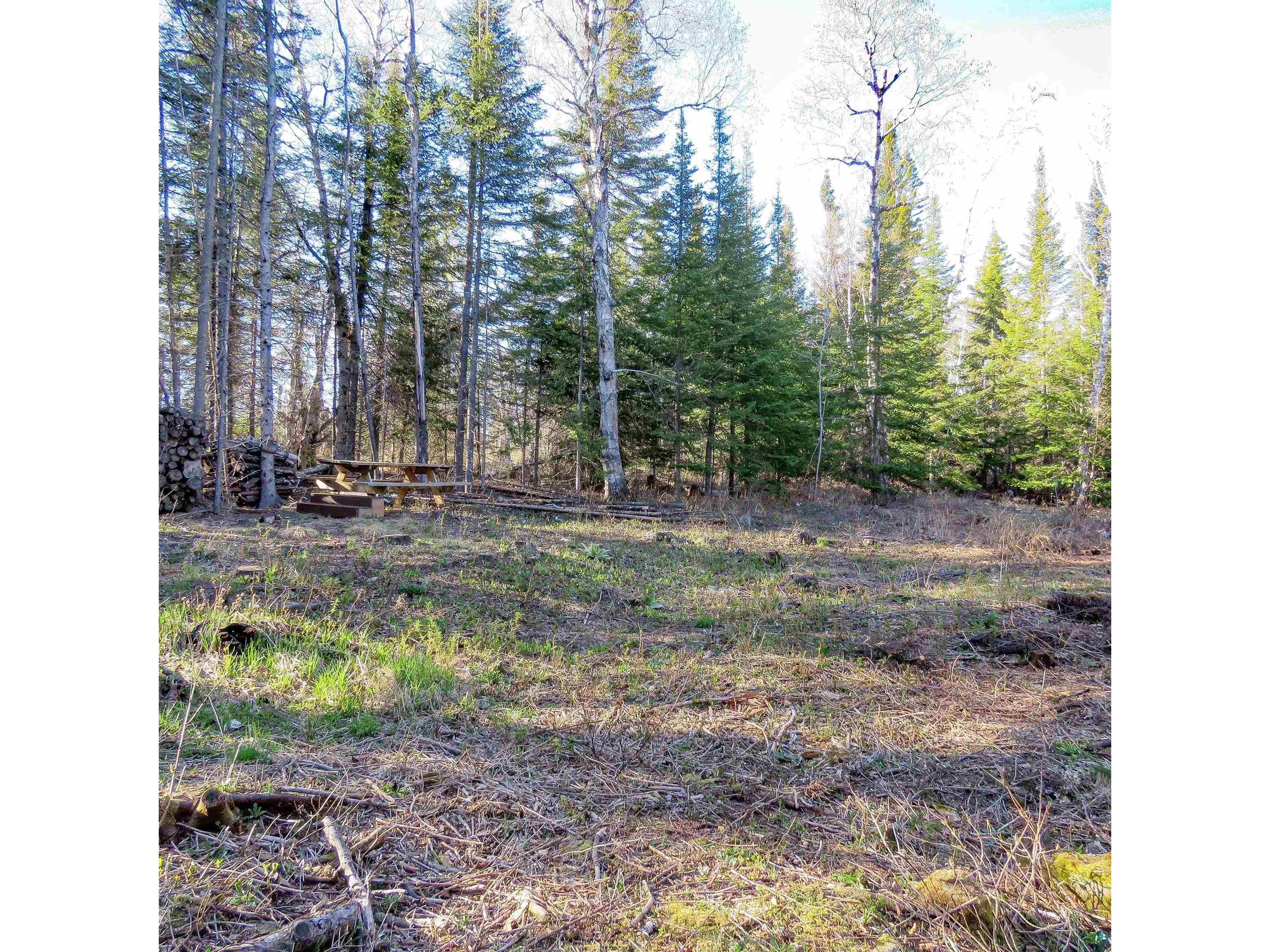 435 Cramer Rd Schroeder MN 55614 6125444 image3