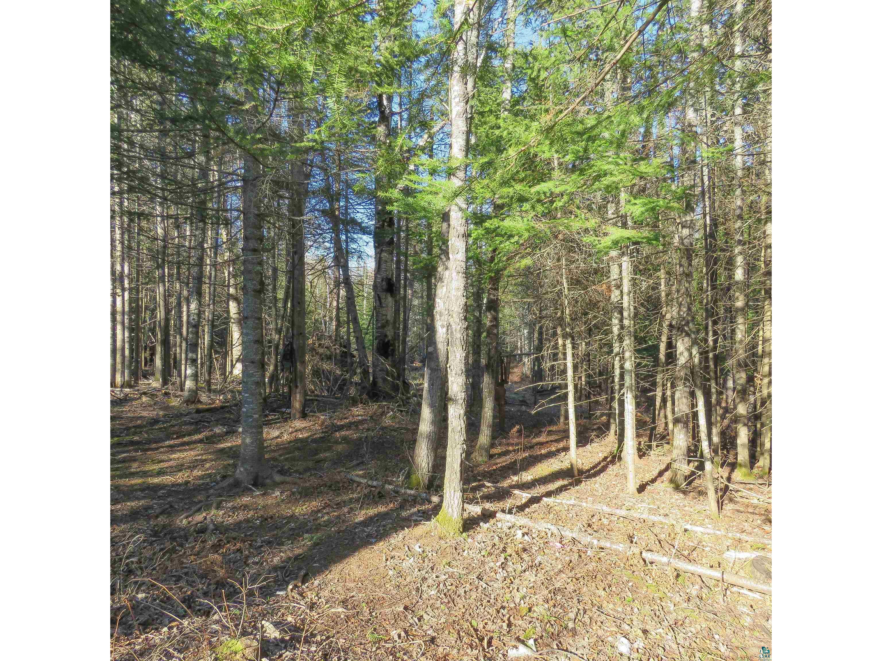 435 Cramer Rd Schroeder MN 55614 6125444 image30