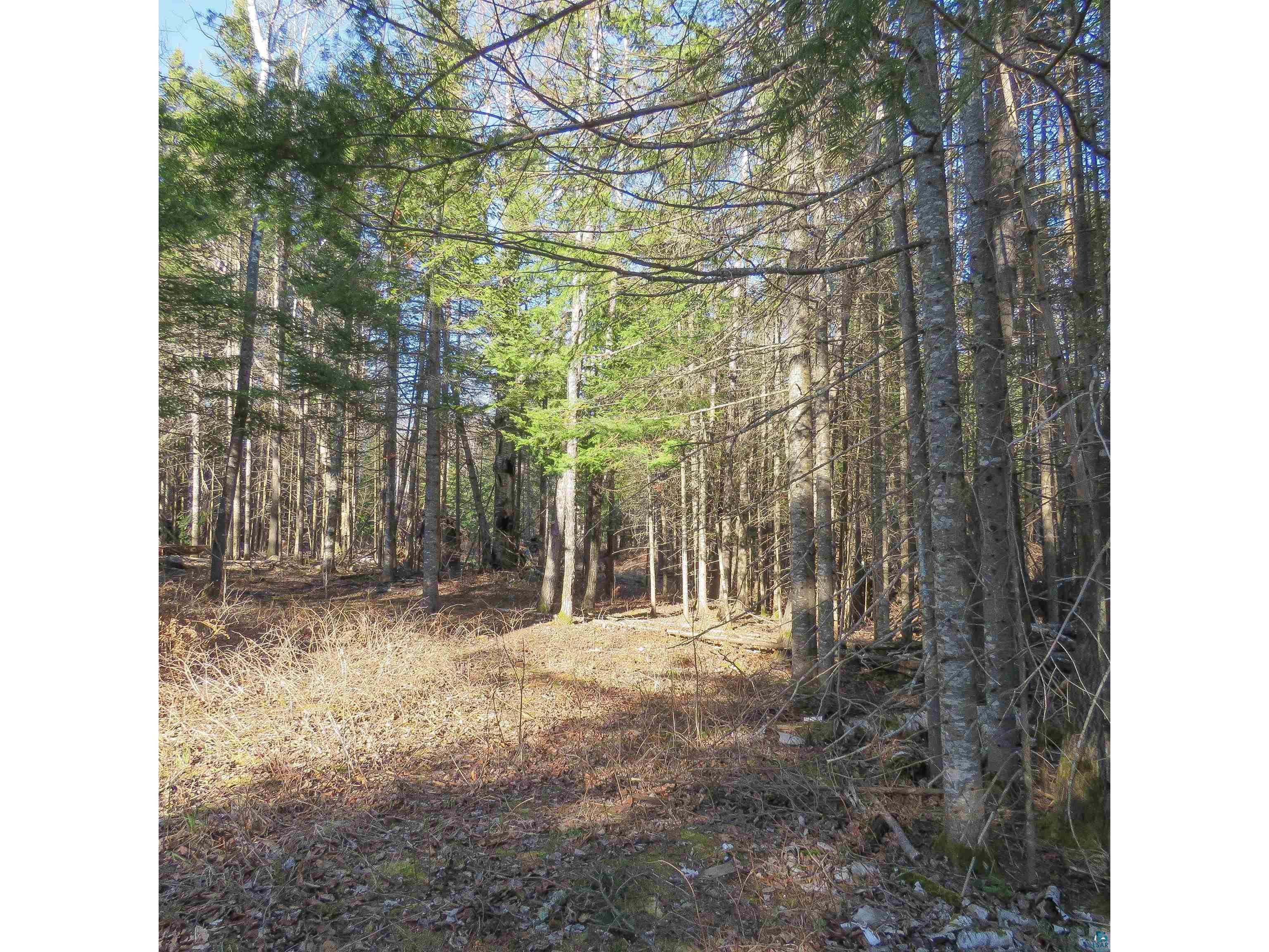 435 Cramer Rd Schroeder MN 55614 6125444 image31