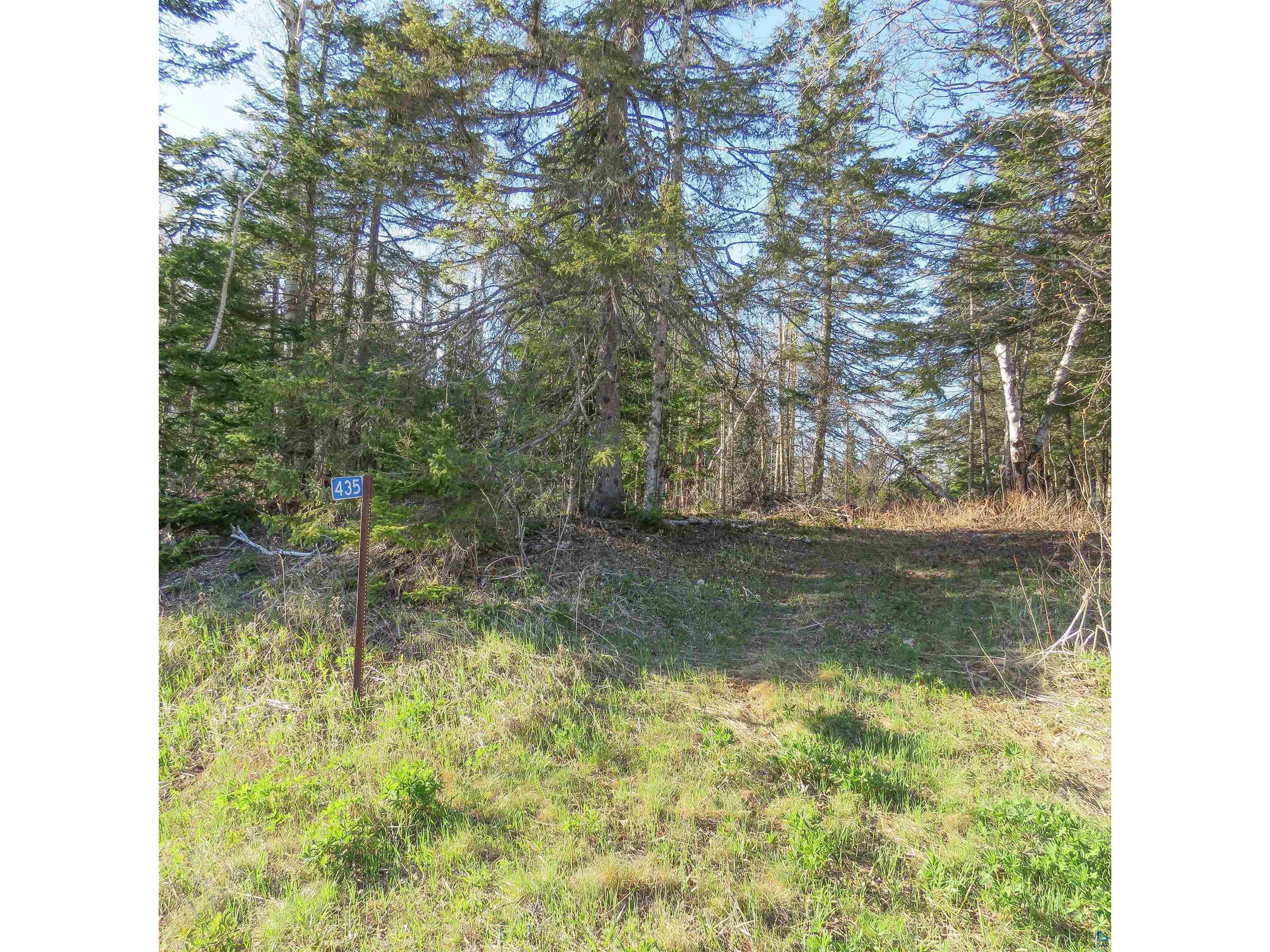 435 Cramer Rd Schroeder MN 55614 6125444 image36