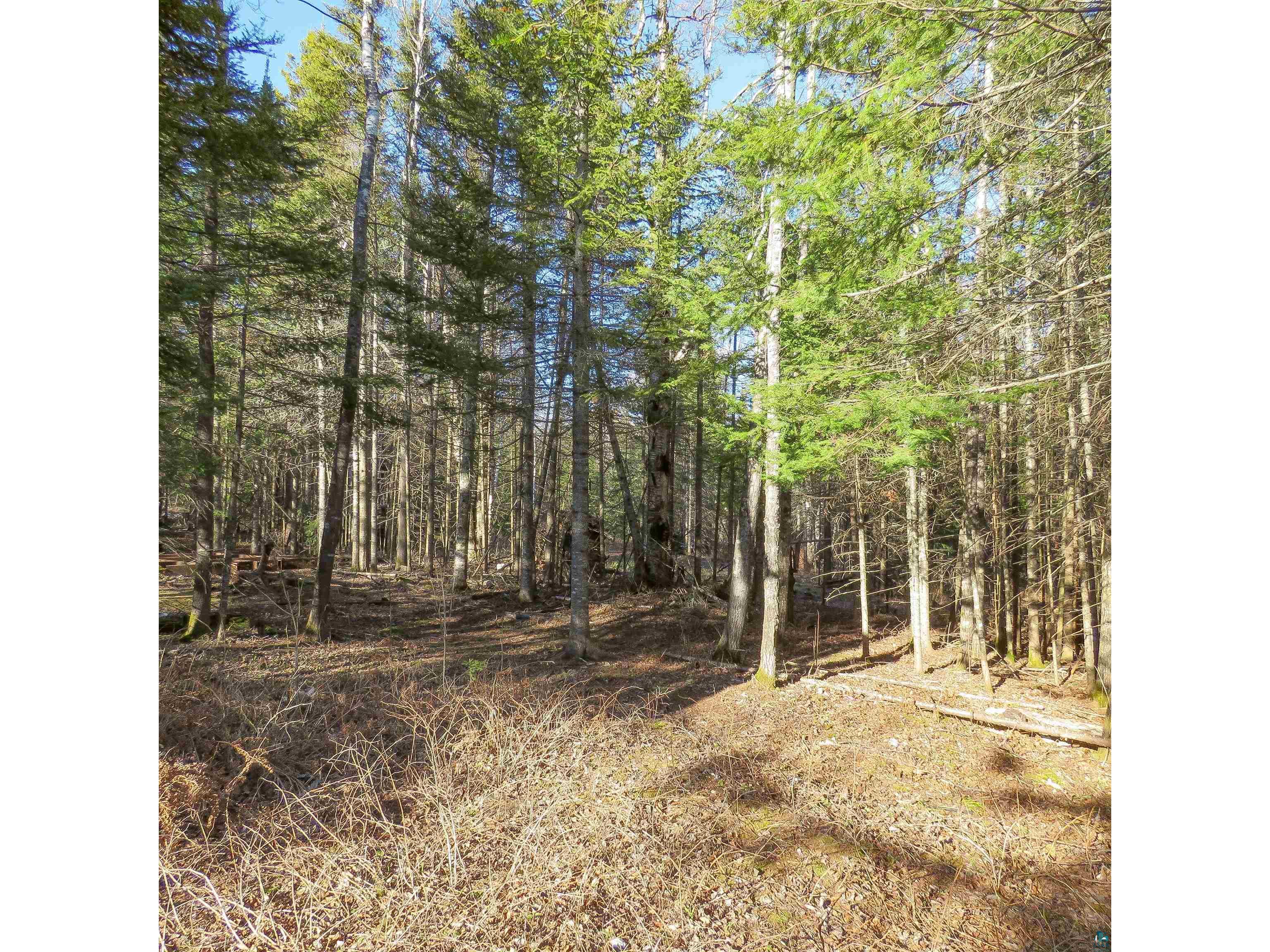 435 Cramer Rd Schroeder MN 55614 6125444 image37
