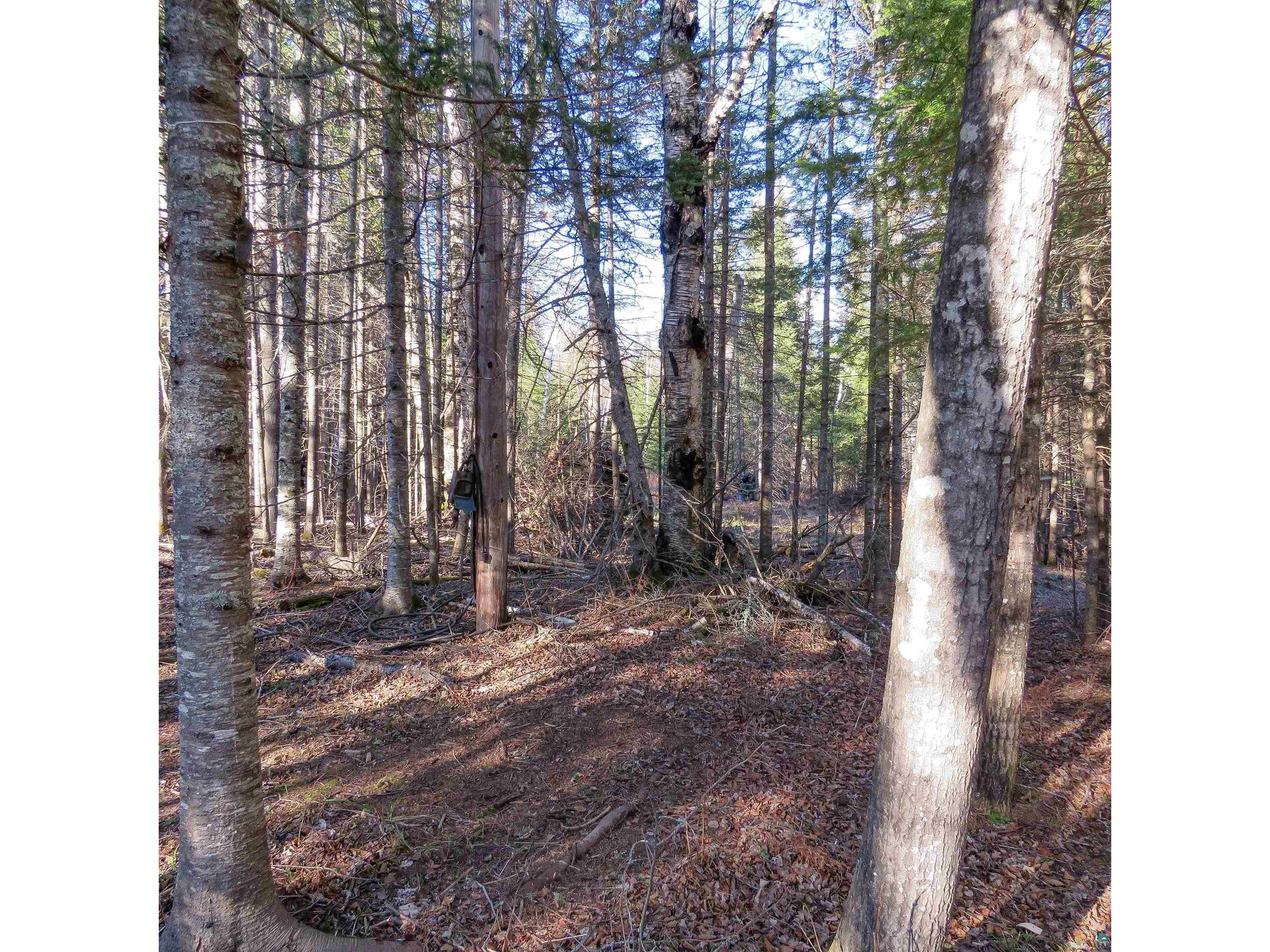 435 Cramer Rd Schroeder MN 55614 6125444 image38