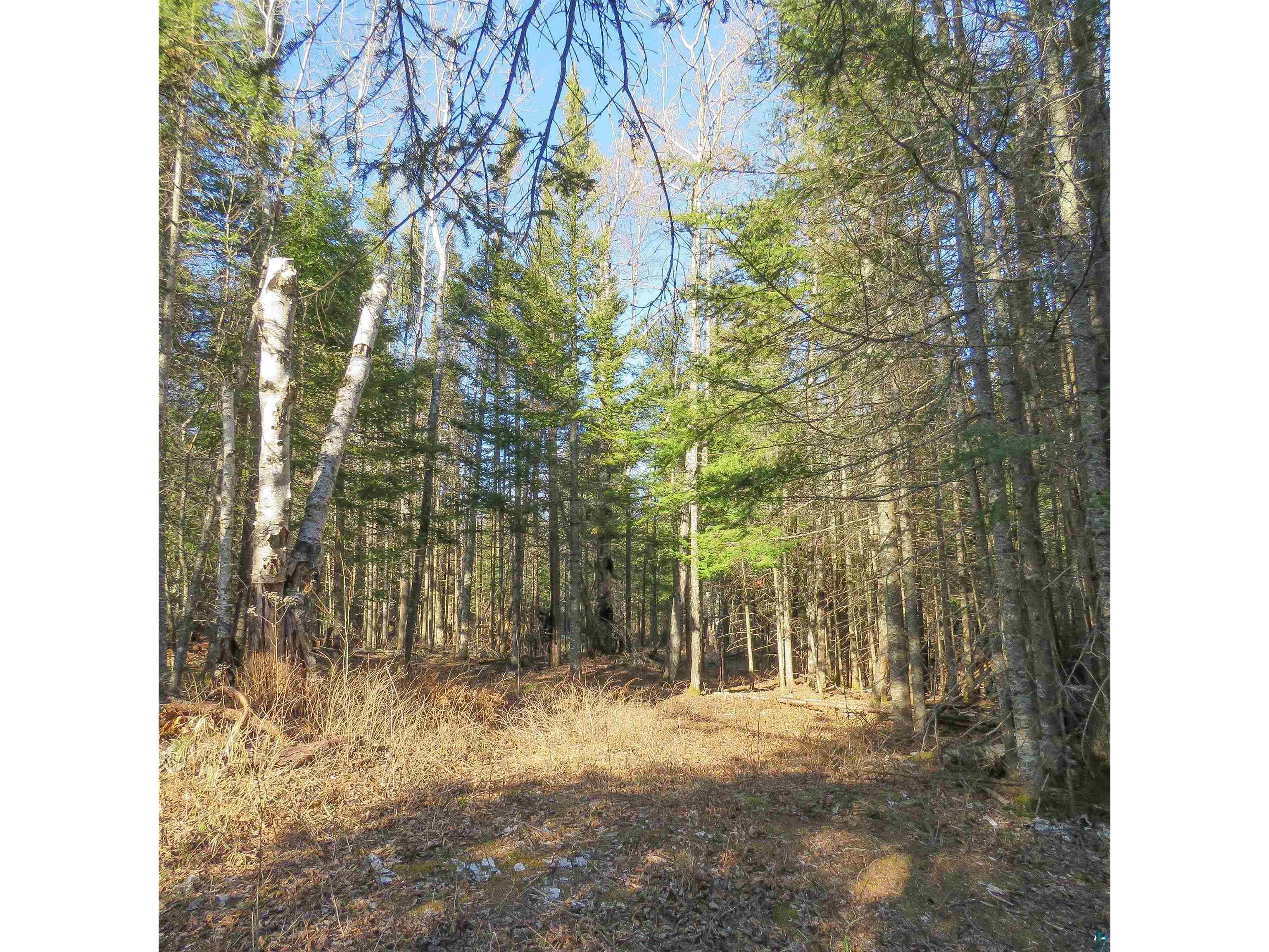 435 Cramer Rd Schroeder MN 55614 6125444 image39