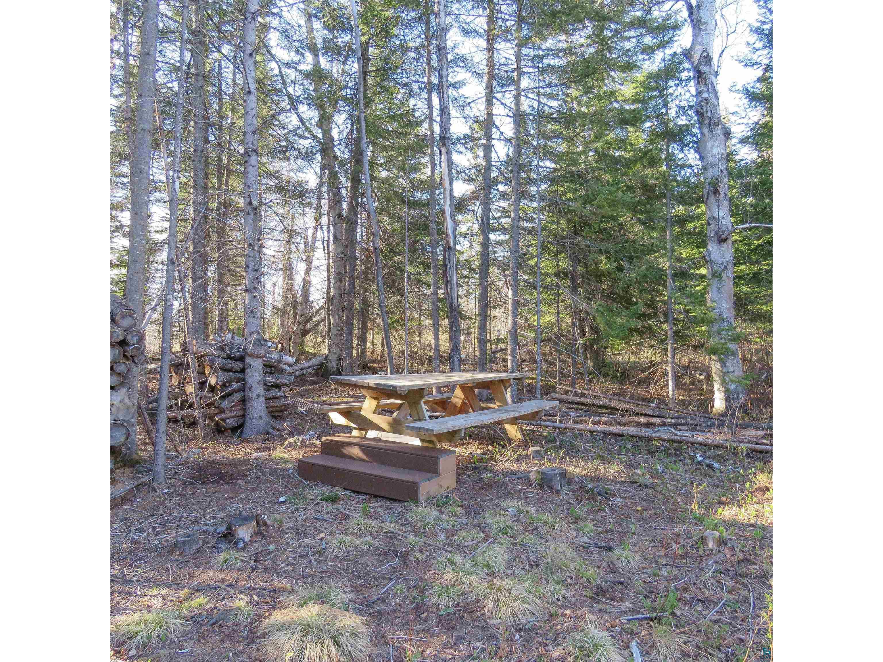 435 Cramer Rd Schroeder MN 55614 6125444 image4