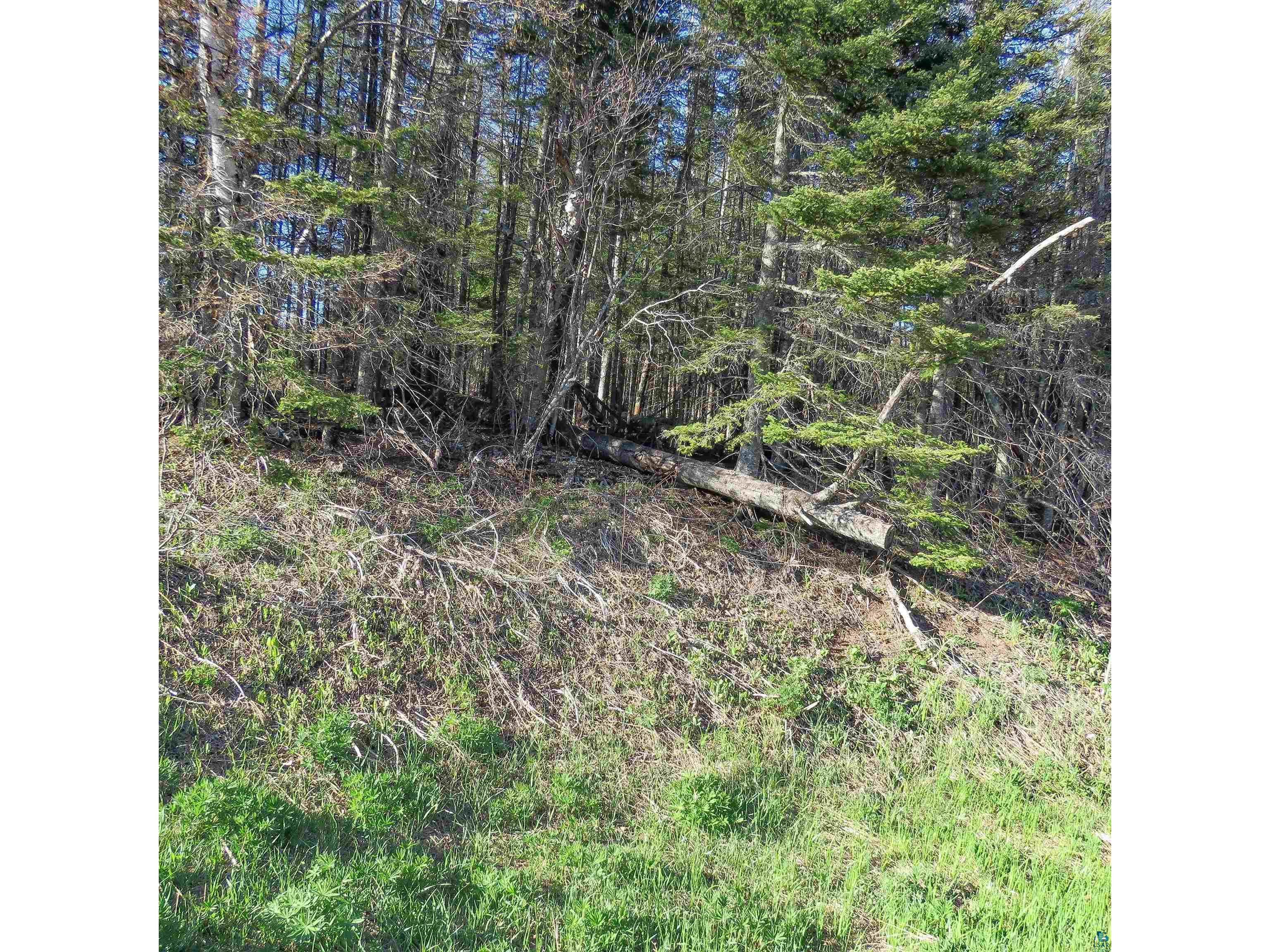 435 Cramer Rd Schroeder MN 55614 6125444 image7