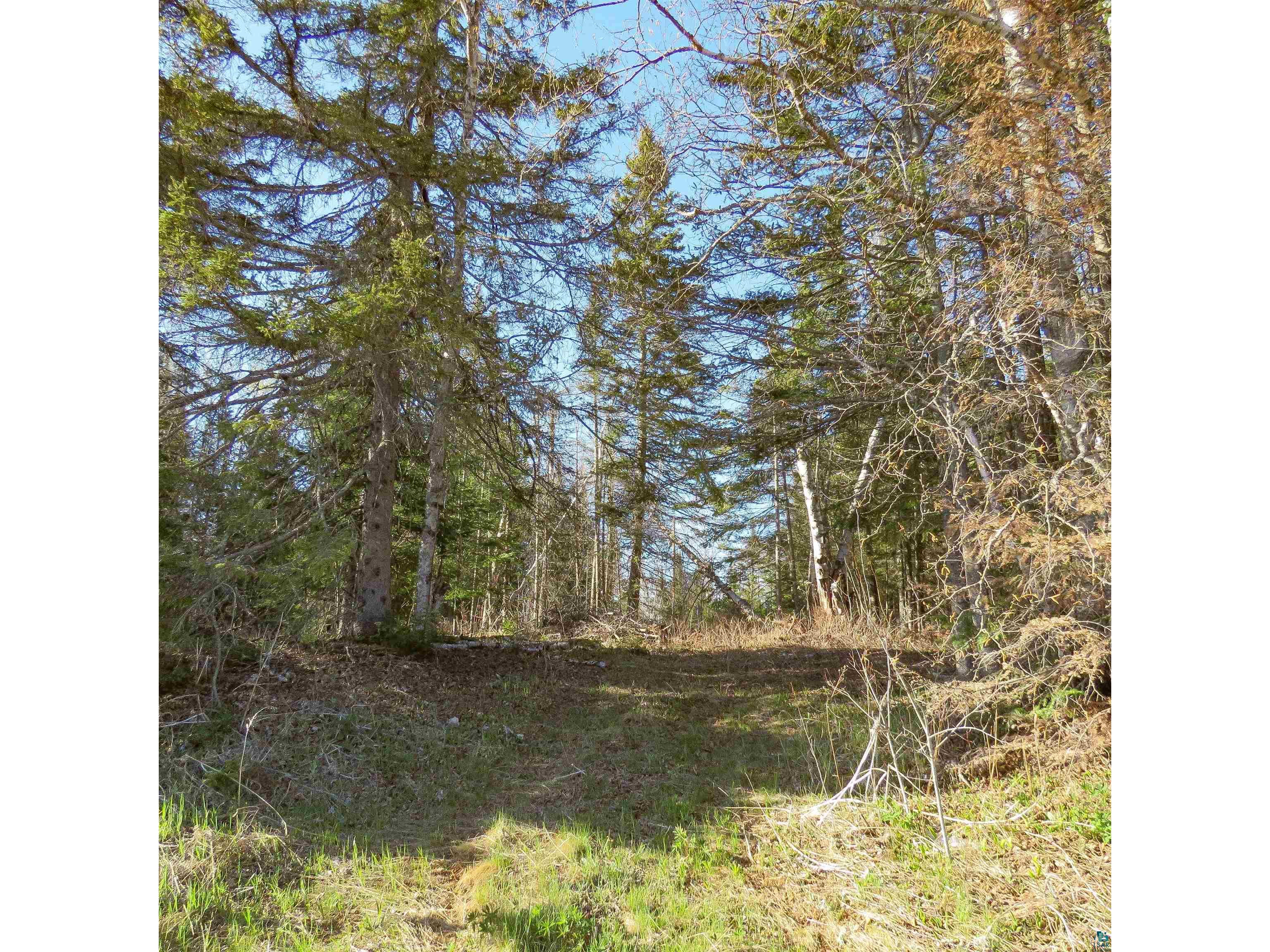 435 Cramer Rd Schroeder MN 55614 6125444 image9