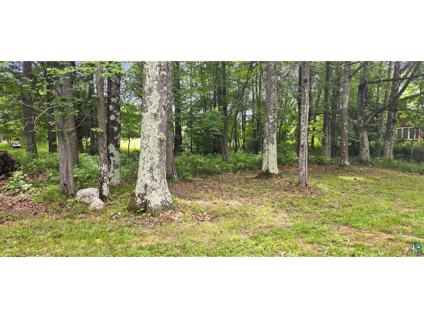 436 Bojo Ln Lapointe WI 54850 6125517 image6