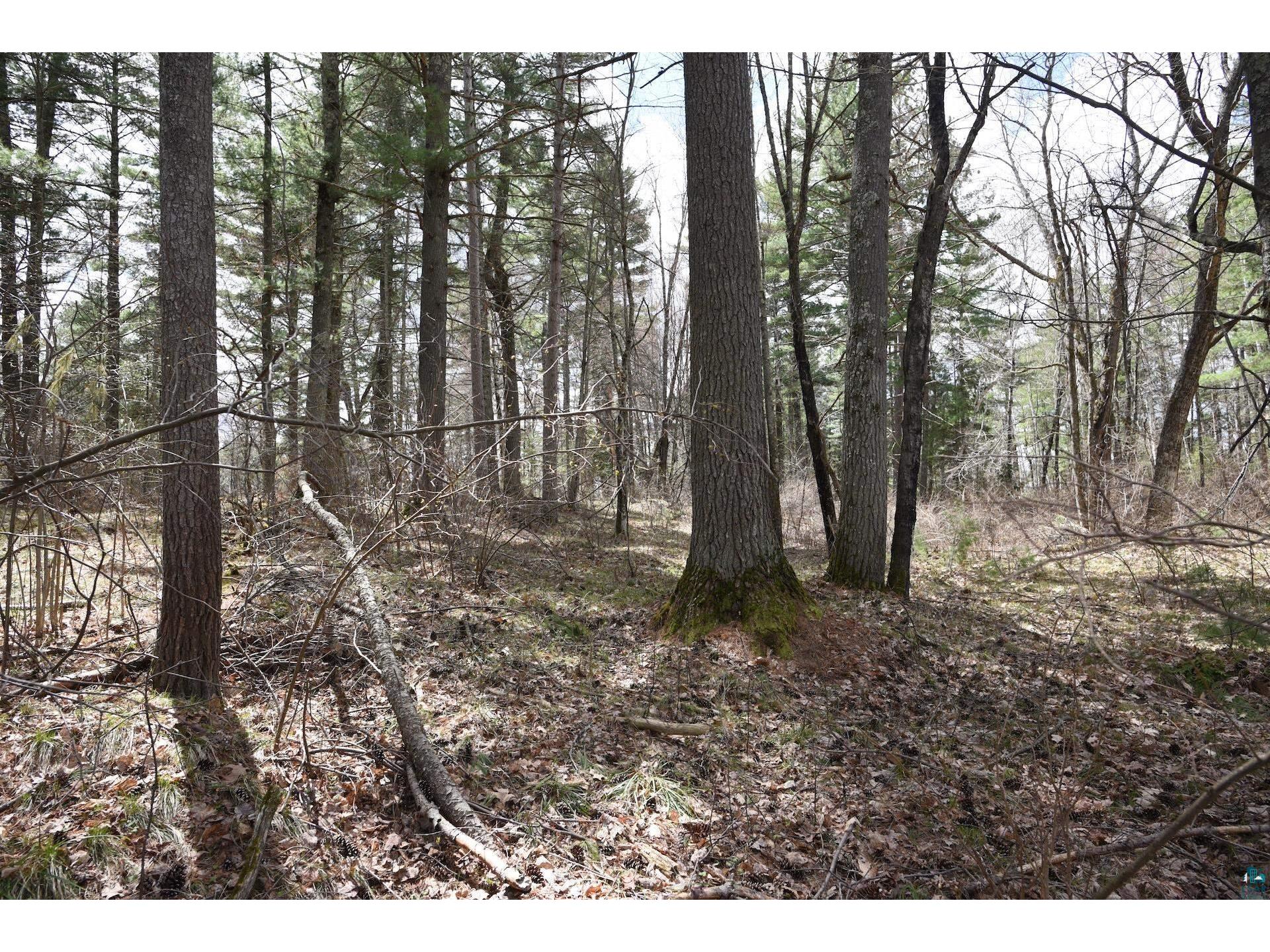 43725 Kavanaugh Rd Cable WI 54821 6124962 image35