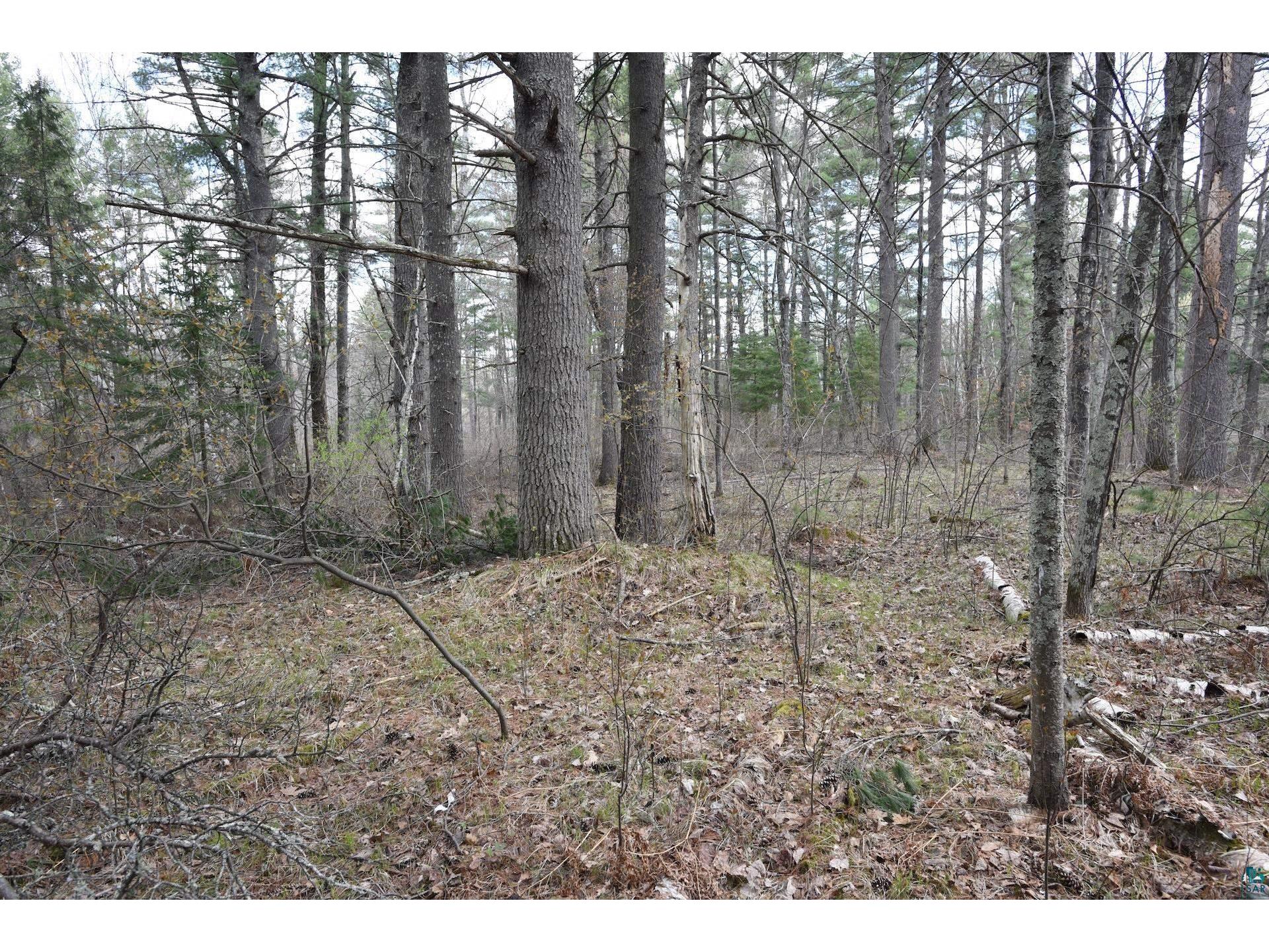 43725 Kavanaugh Rd Cable WI 54821 6124962 image36