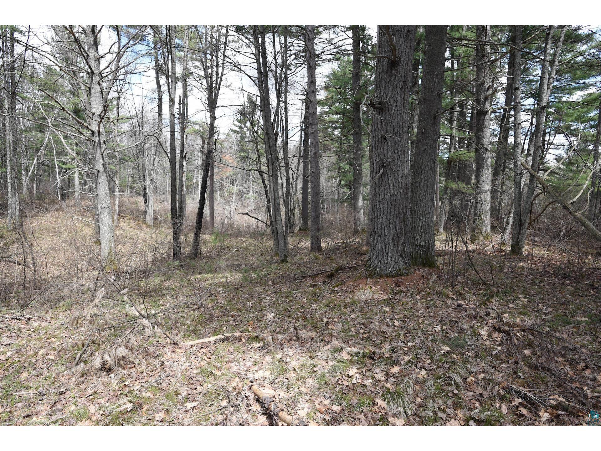 43725 Kavanaugh Rd Cable WI 54821 6124962 image37