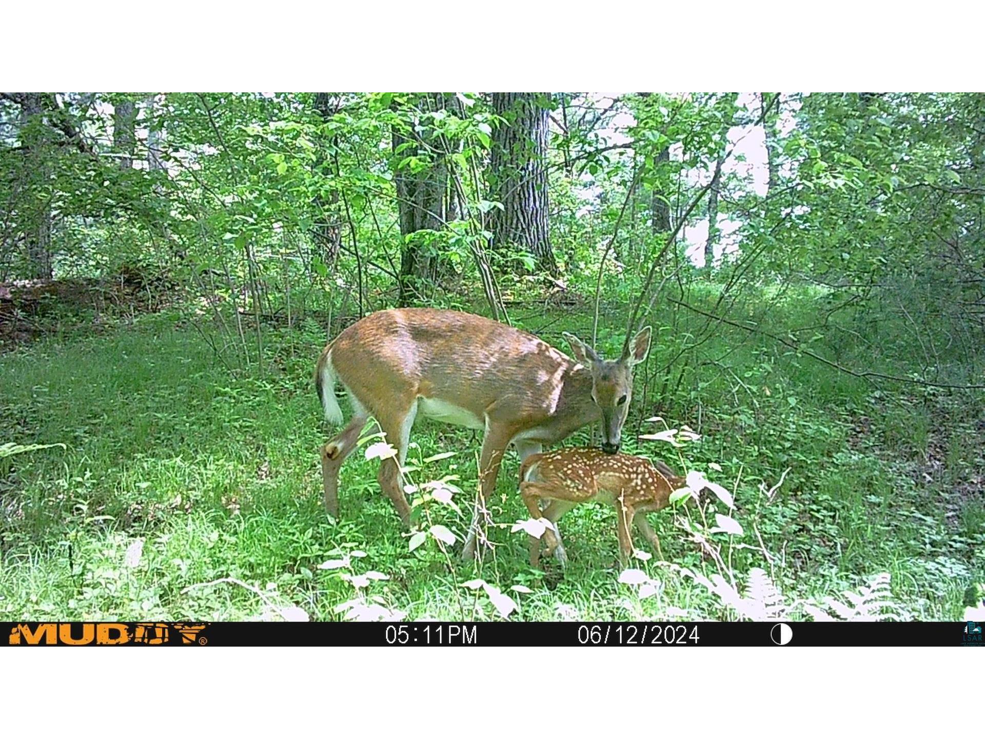 43725 Kavanaugh Rd Cable WI 54821 6124962 image47