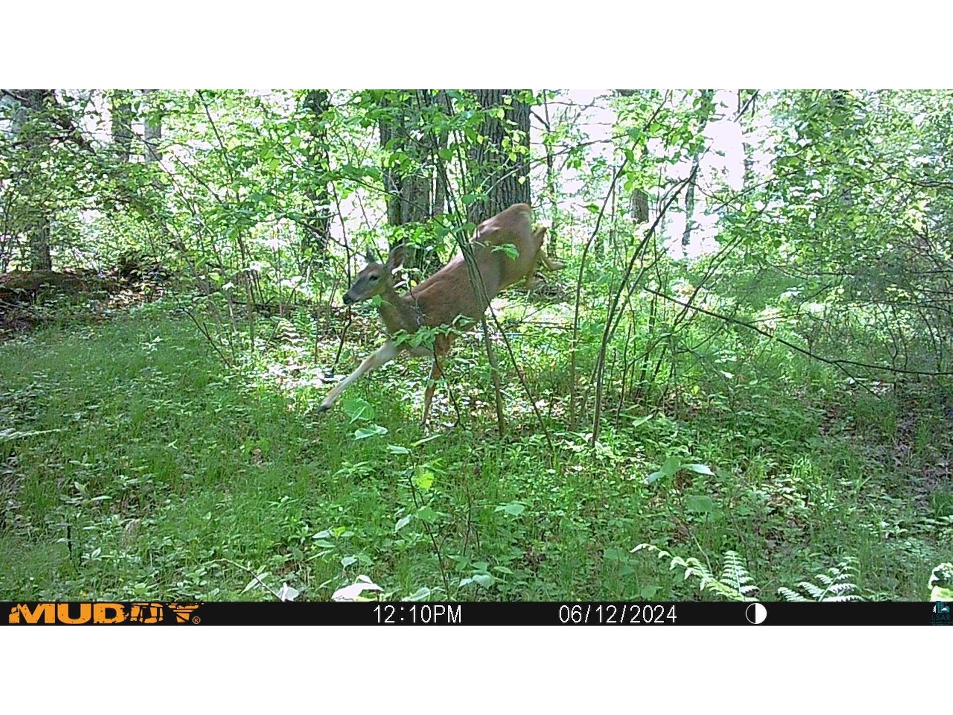 43725 Kavanaugh Rd Cable WI 54821 6124962 image48