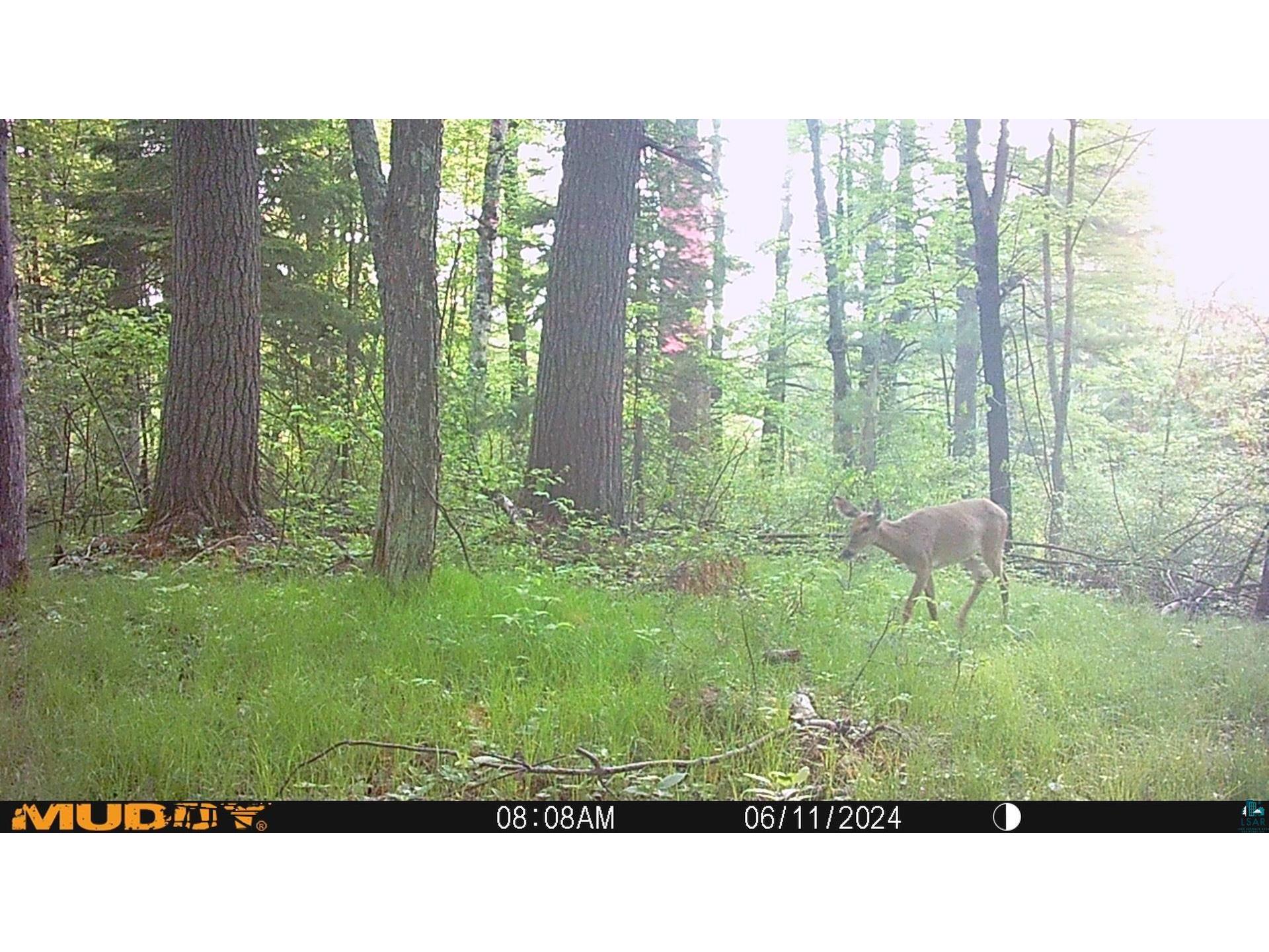 43725 Kavanaugh Rd Cable WI 54821 6124962 image49