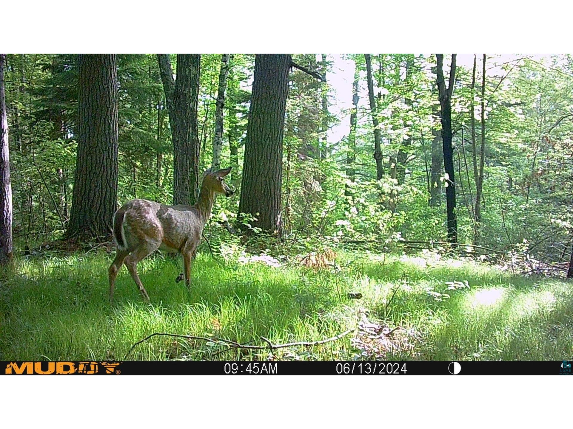 43725 Kavanaugh Rd Cable WI 54821 6124962 image50
