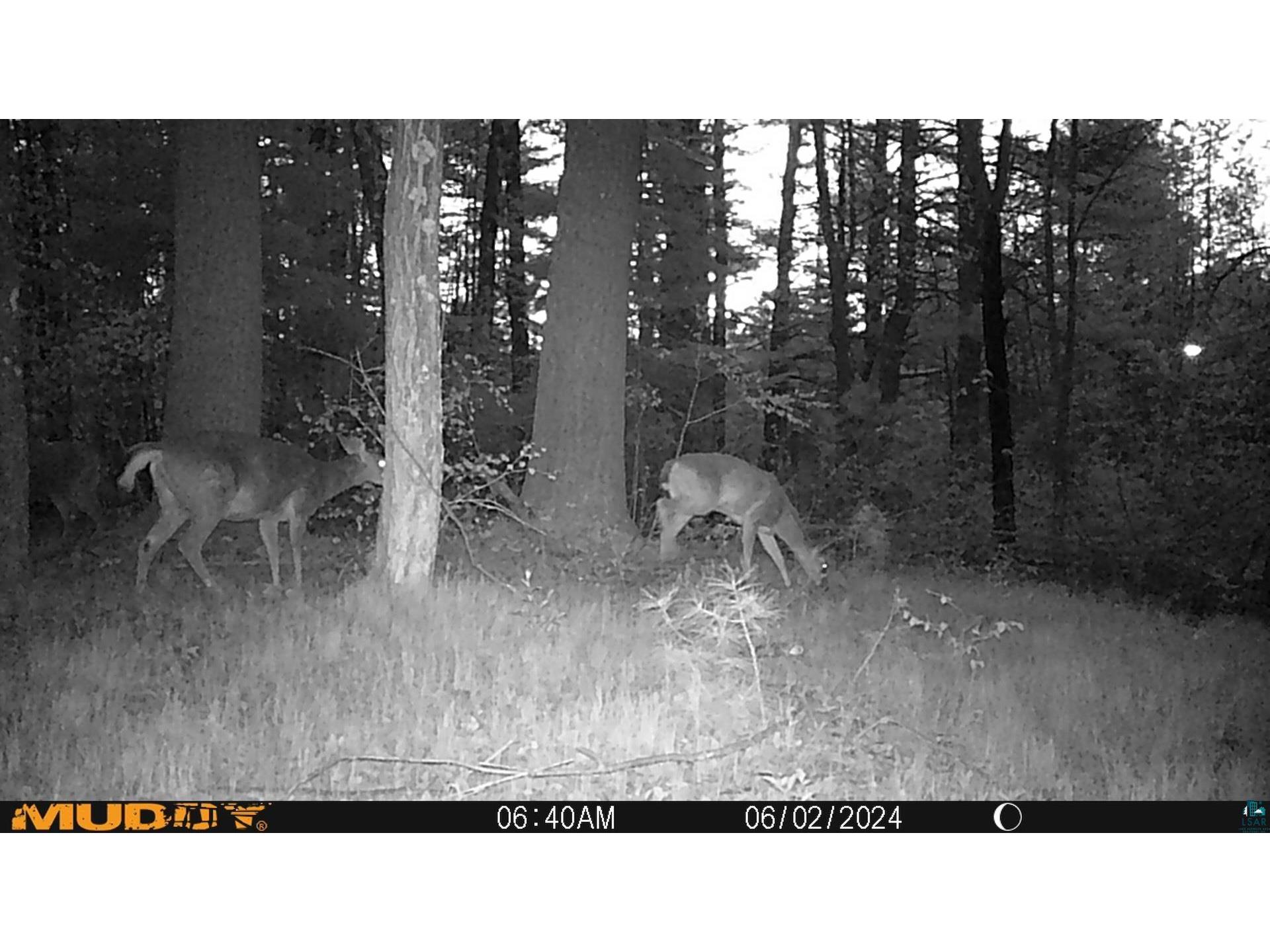 43725 Kavanaugh Rd Cable WI 54821 6124962 image51