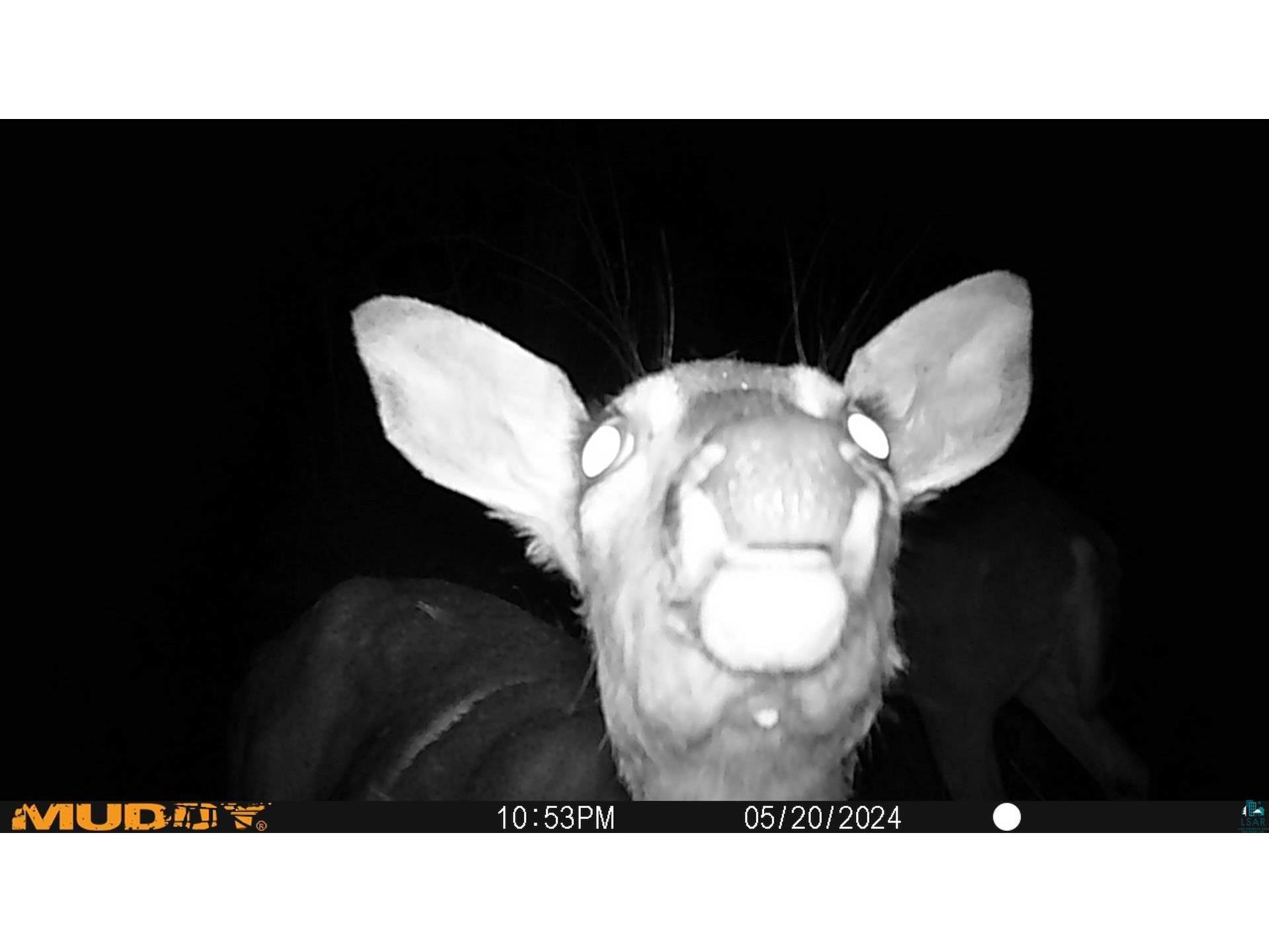 43725 Kavanaugh Rd Cable WI 54821 6124962 image52