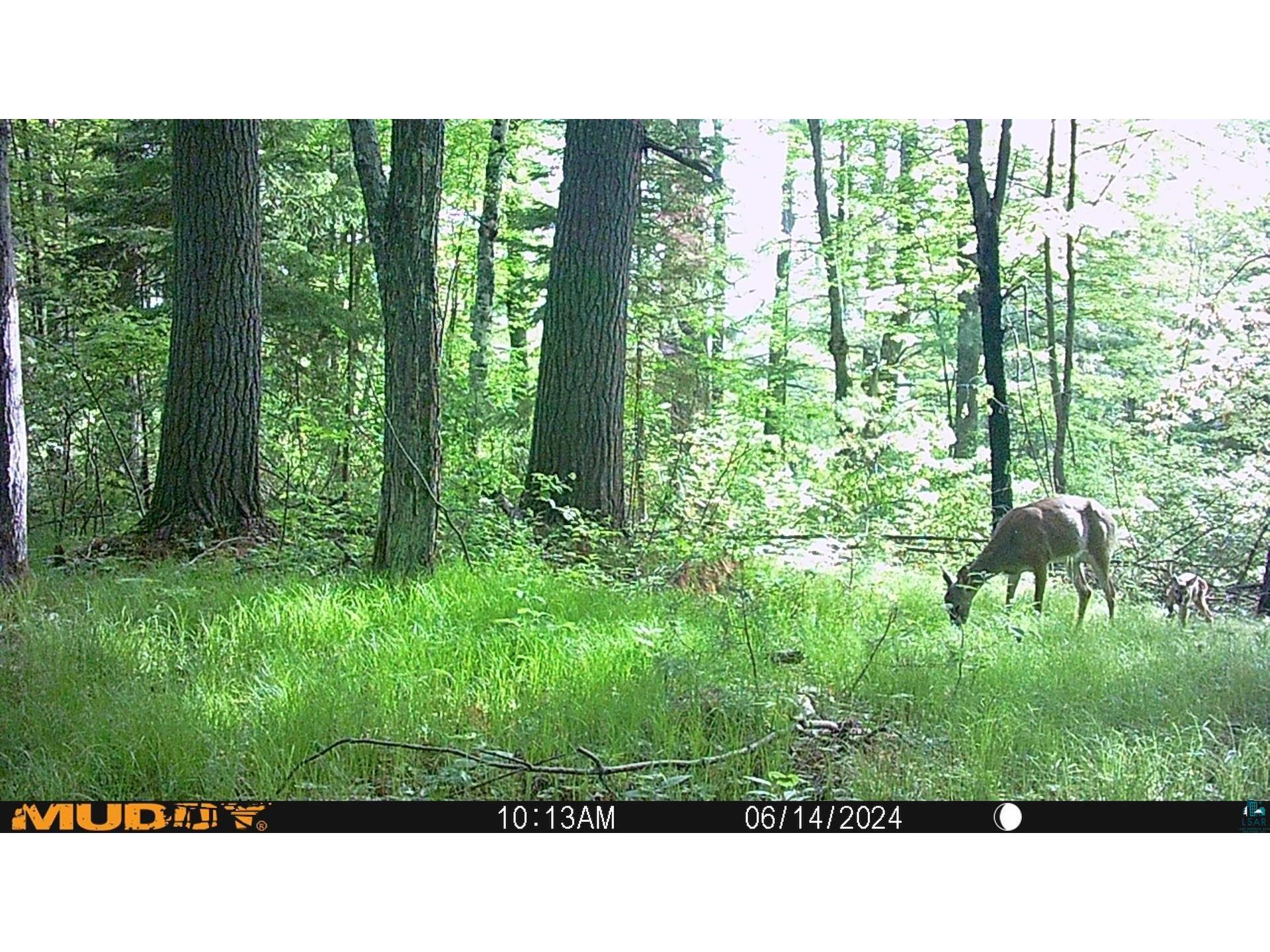 43725 Kavanaugh Rd Cable WI 54821 6124962 image53