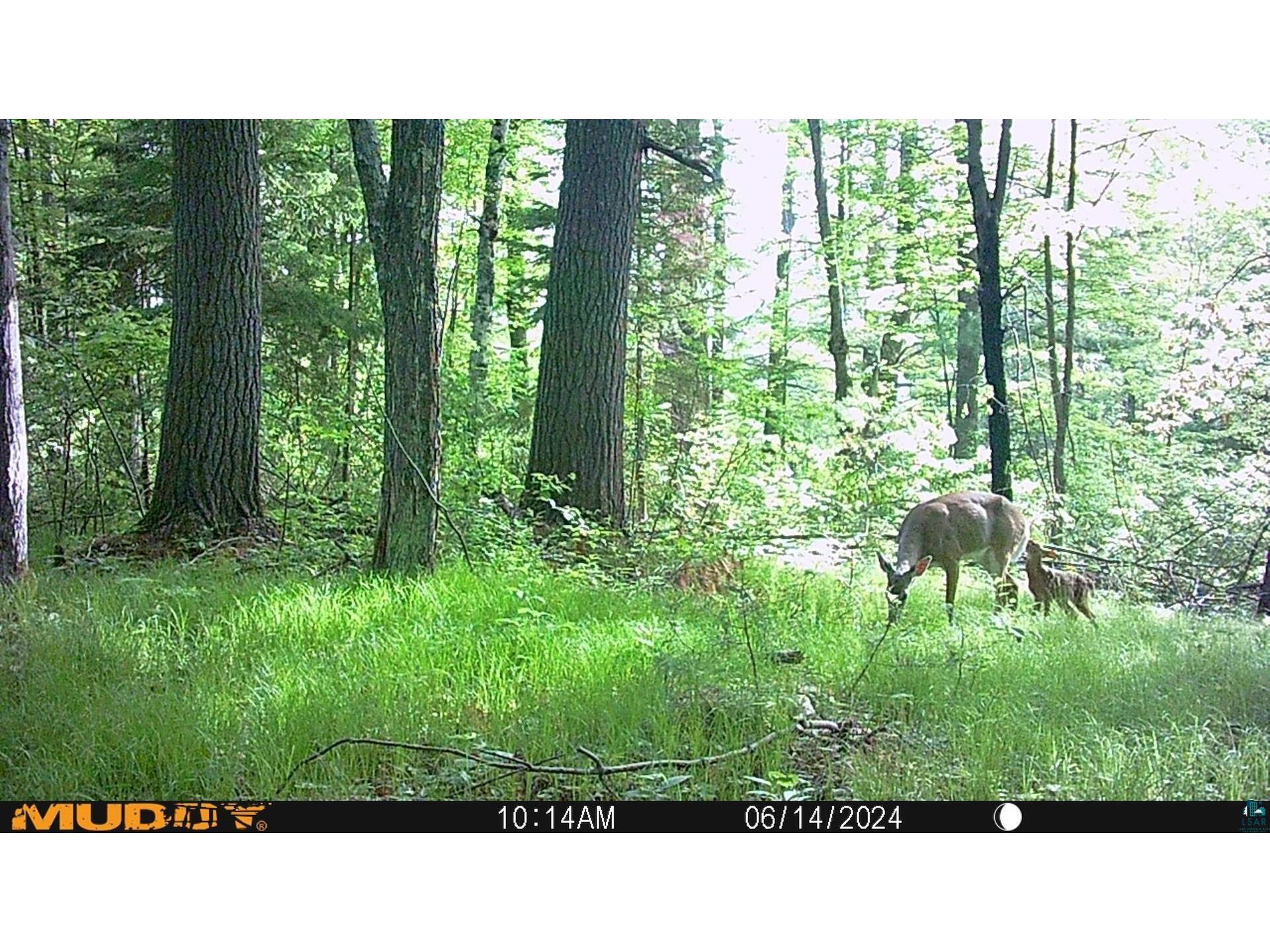 43725 Kavanaugh Rd Cable WI 54821 6124962 image54