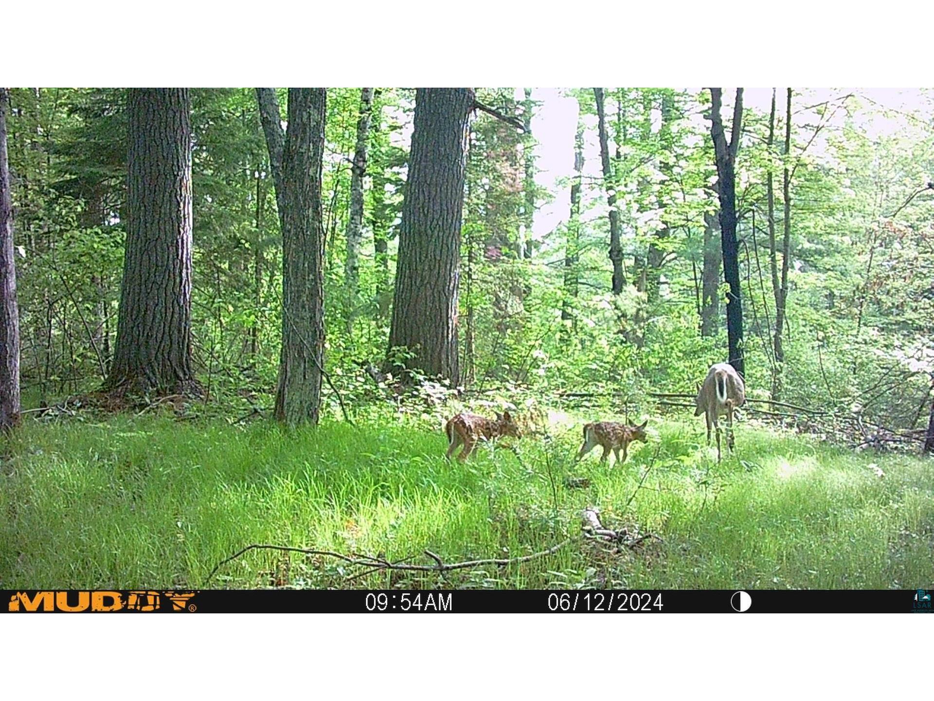 43725 Kavanaugh Rd Cable WI 54821 6124962 image55