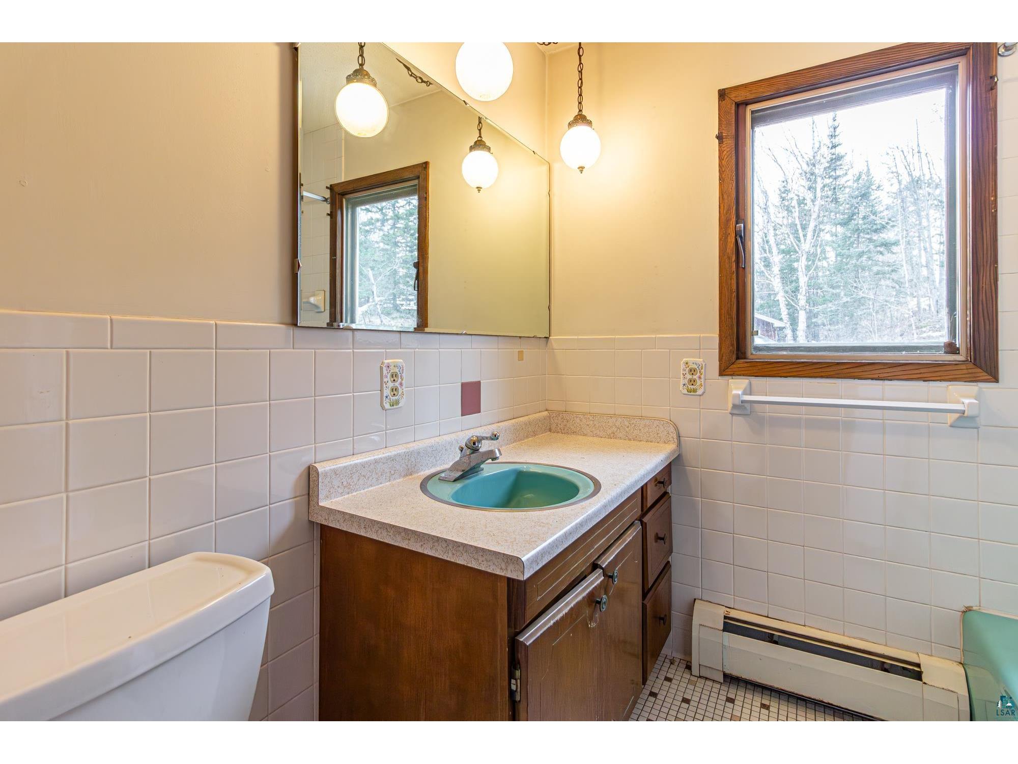 438 Buck View Rd Ely MN 55731 - Garden 6124475 image29