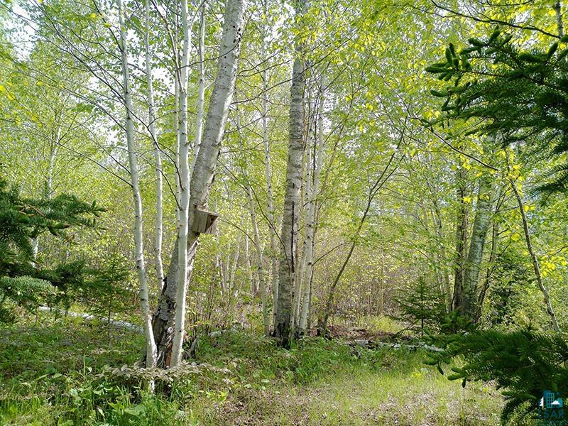 44 Lodge Ln Lutsen MN 55612 6125793 image35