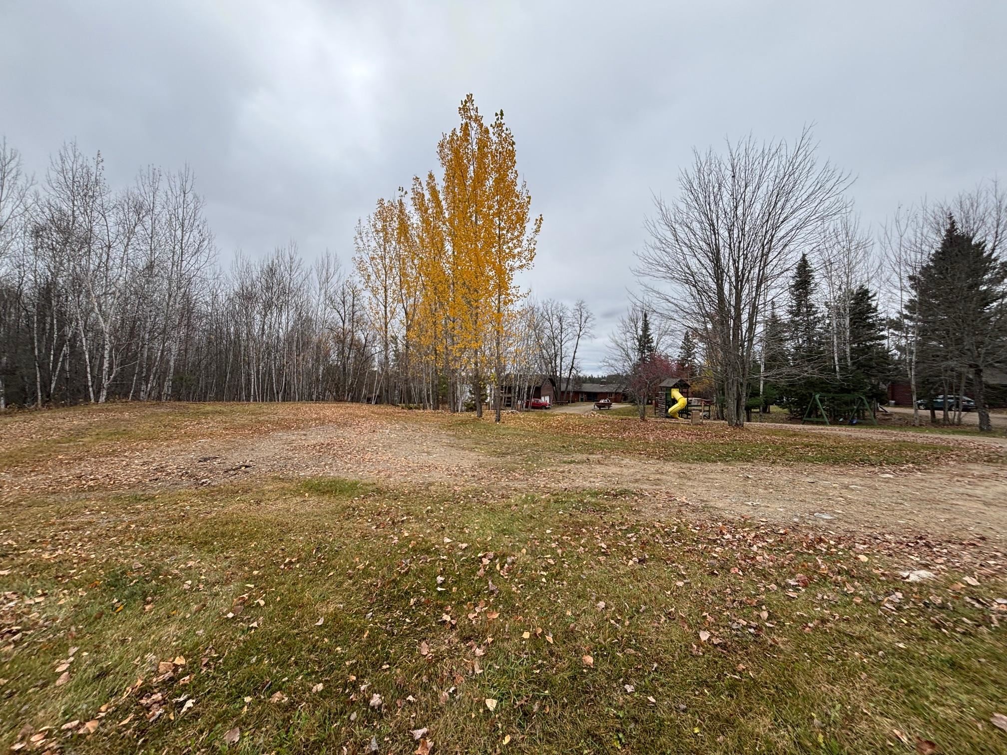 444 Fernberg Rd Ely MN 55731 - Garden 6117497 image1