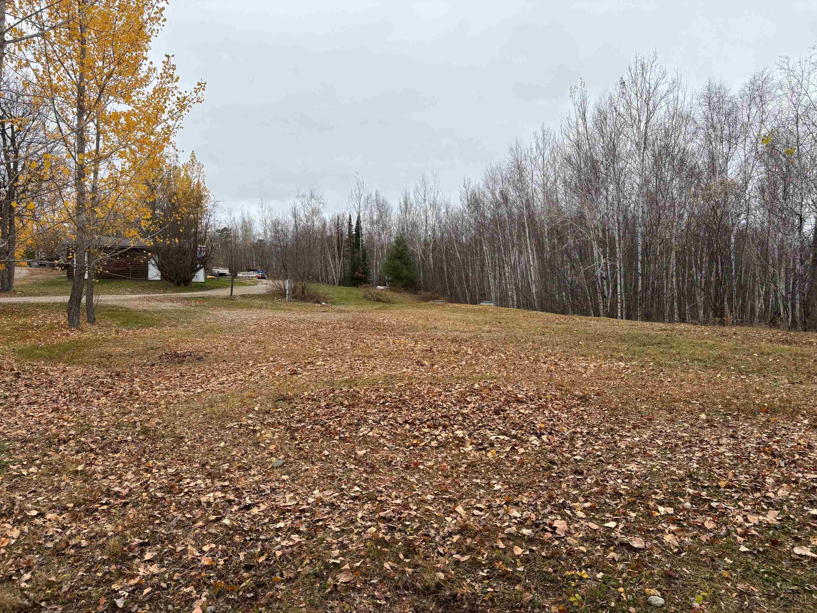 444 Fernberg Rd Ely MN 55731 - Garden 6117497 image3