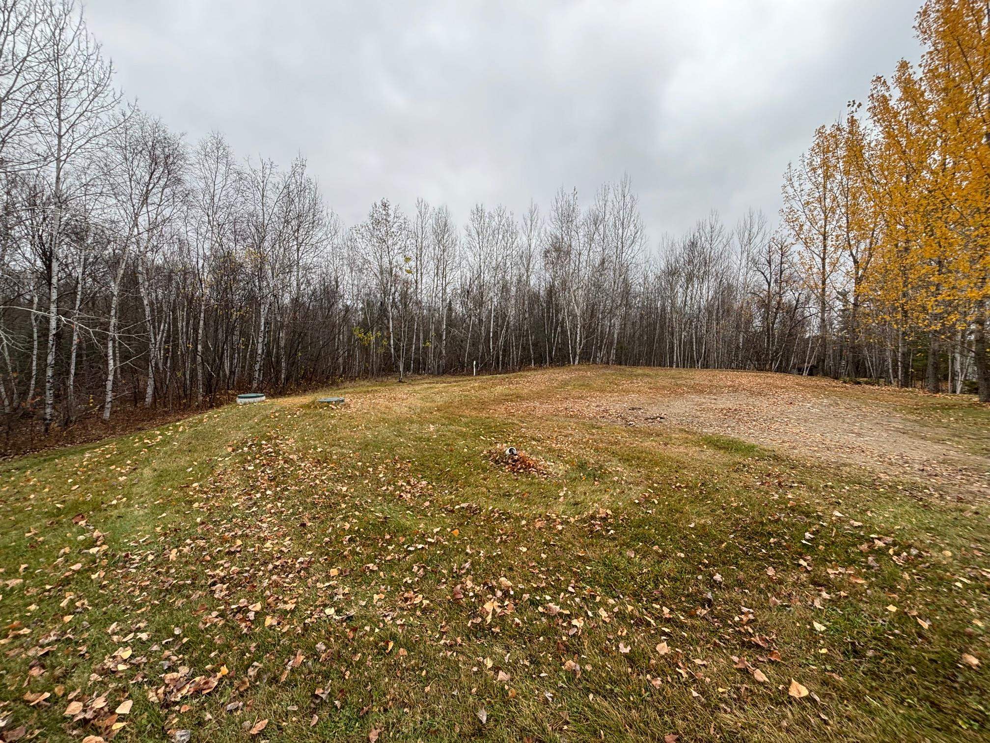 444 Fernberg Rd Ely MN 55731 - Garden 6117497 image7