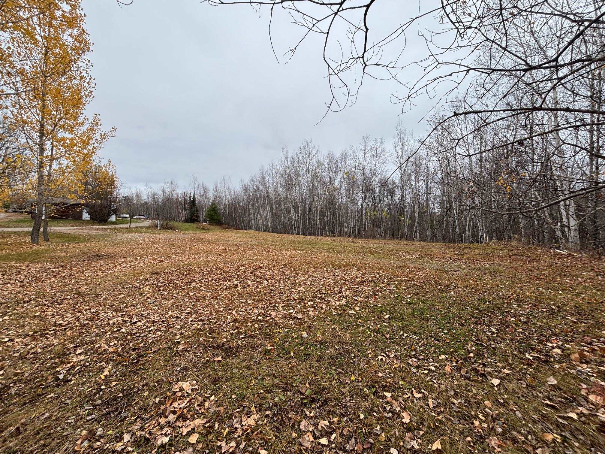 444 Fernberg Rd Ely MN 55731 - Garden 6117498 image3