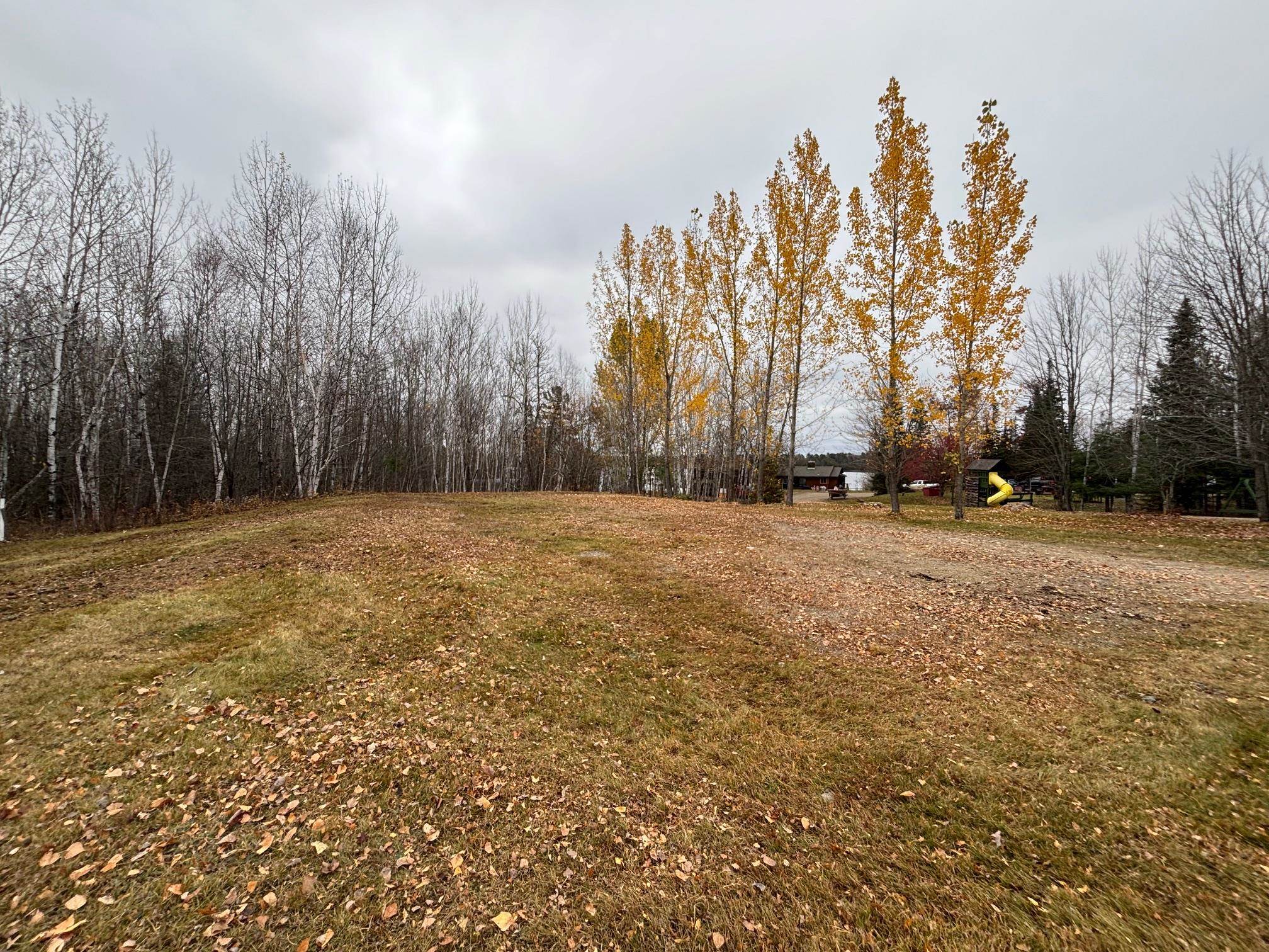 444 Fernberg Rd Ely MN 55731 - Garden 6117498 image6