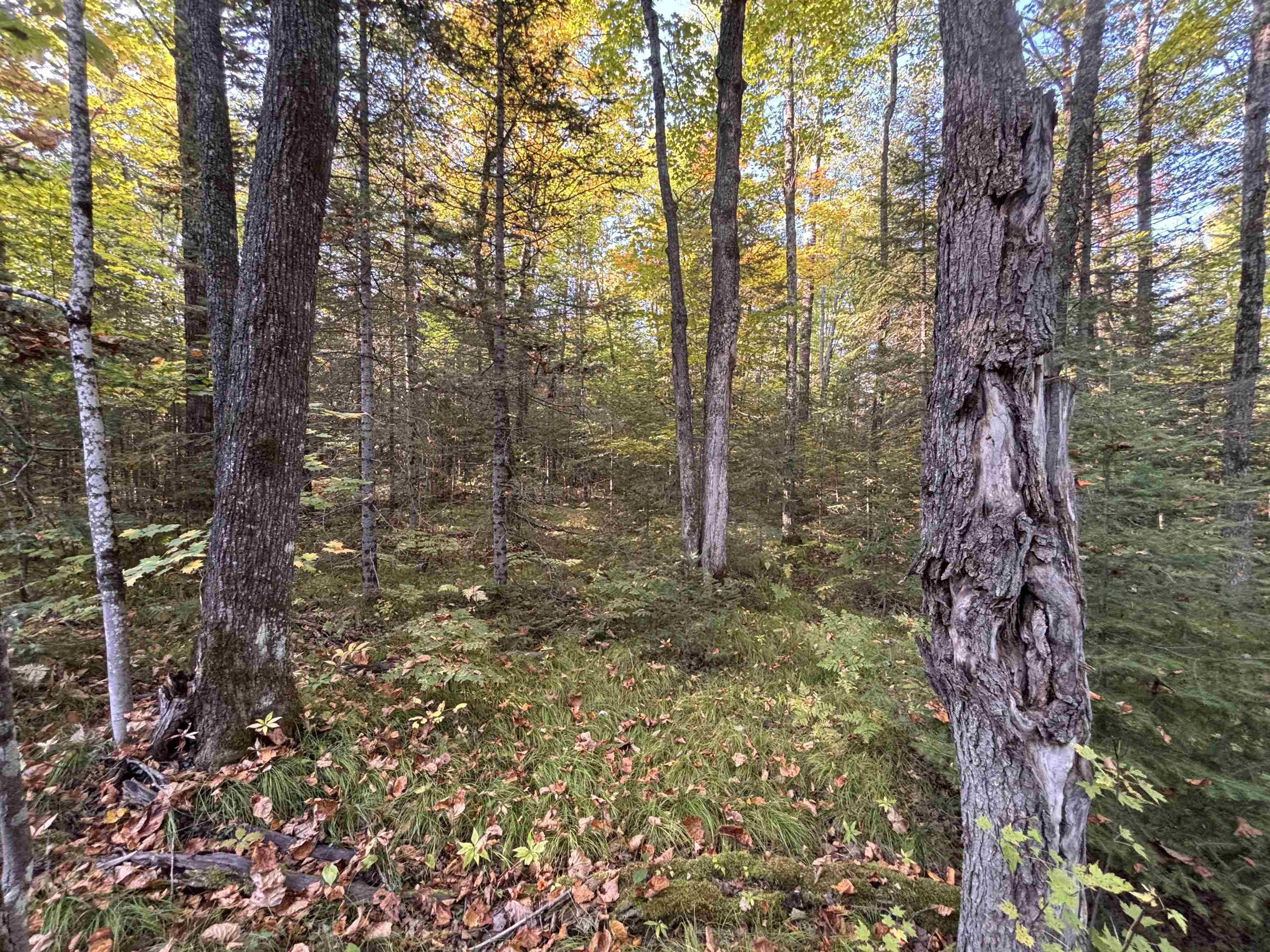 445XX Club Lake Rd Grand View WI 54821 6121813 image1