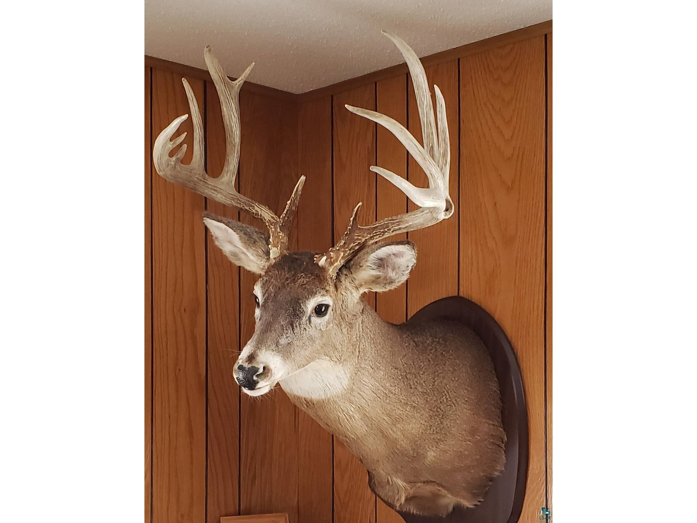 4477 Hitchcock Rd Orr MN 55771 6123755 image29