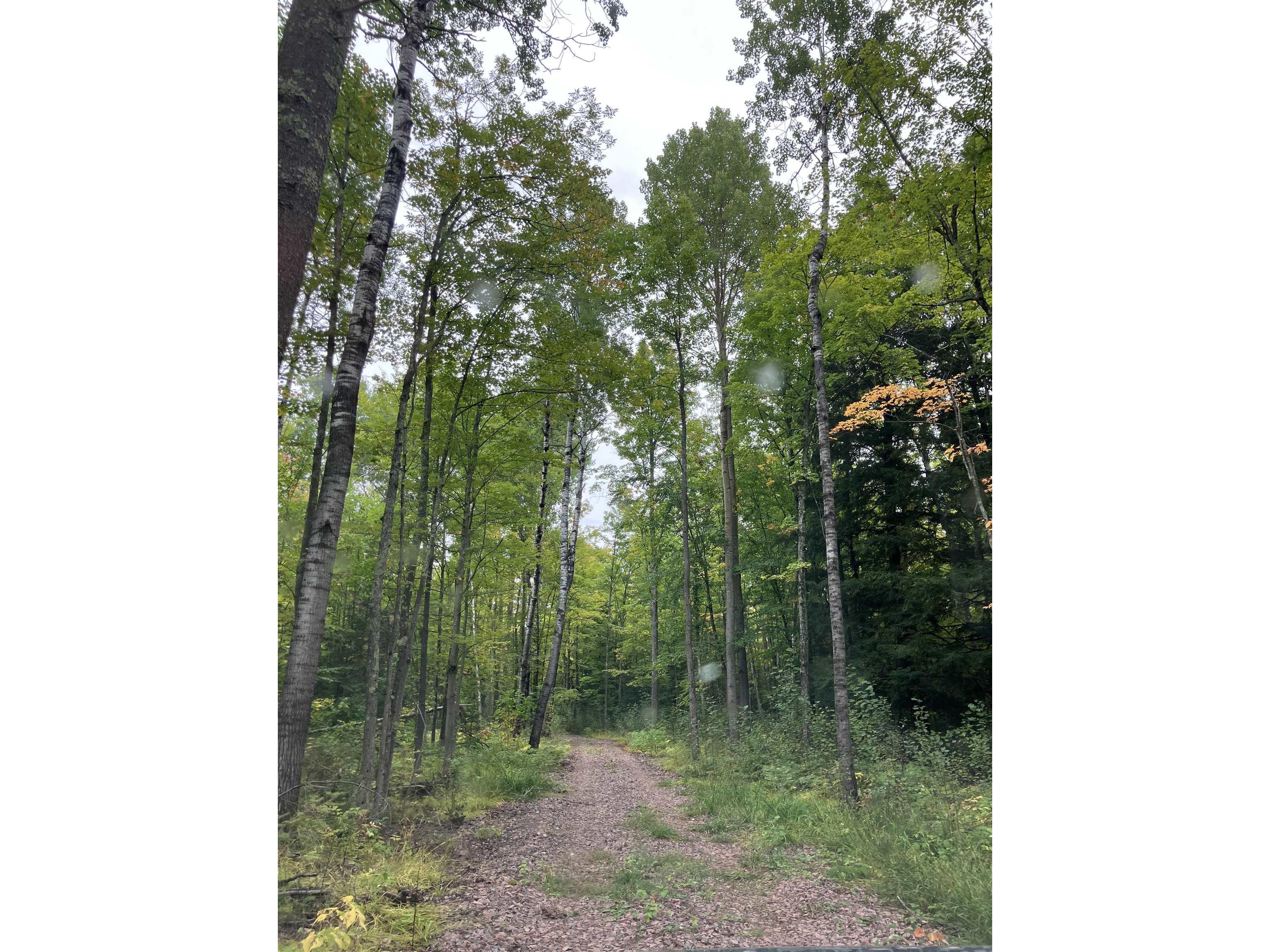 44890 Potato River Rd Saxon WI 54546 6122036 image1