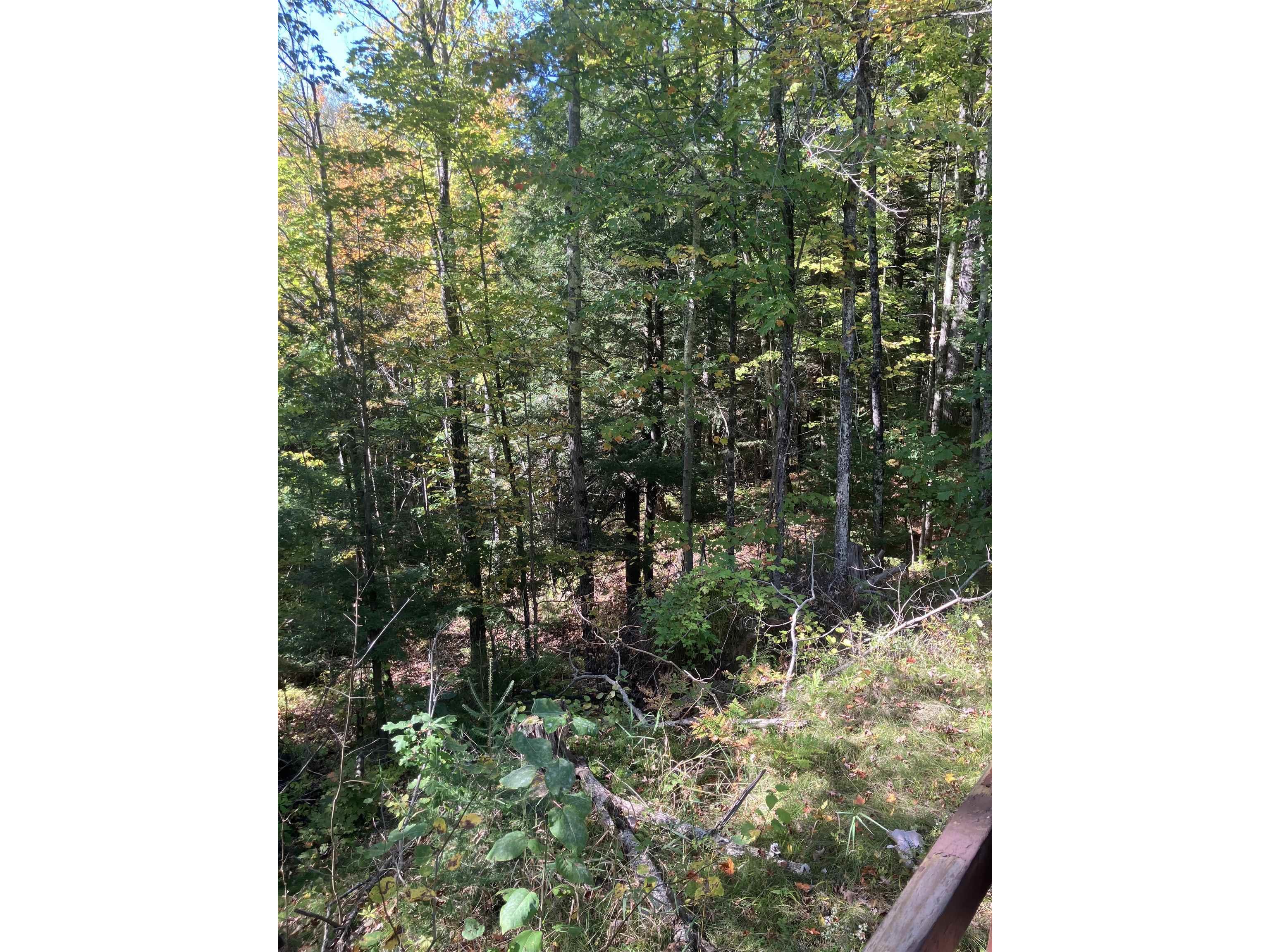 44890 Potato River Rd Saxon WI 54546 6122036 image10