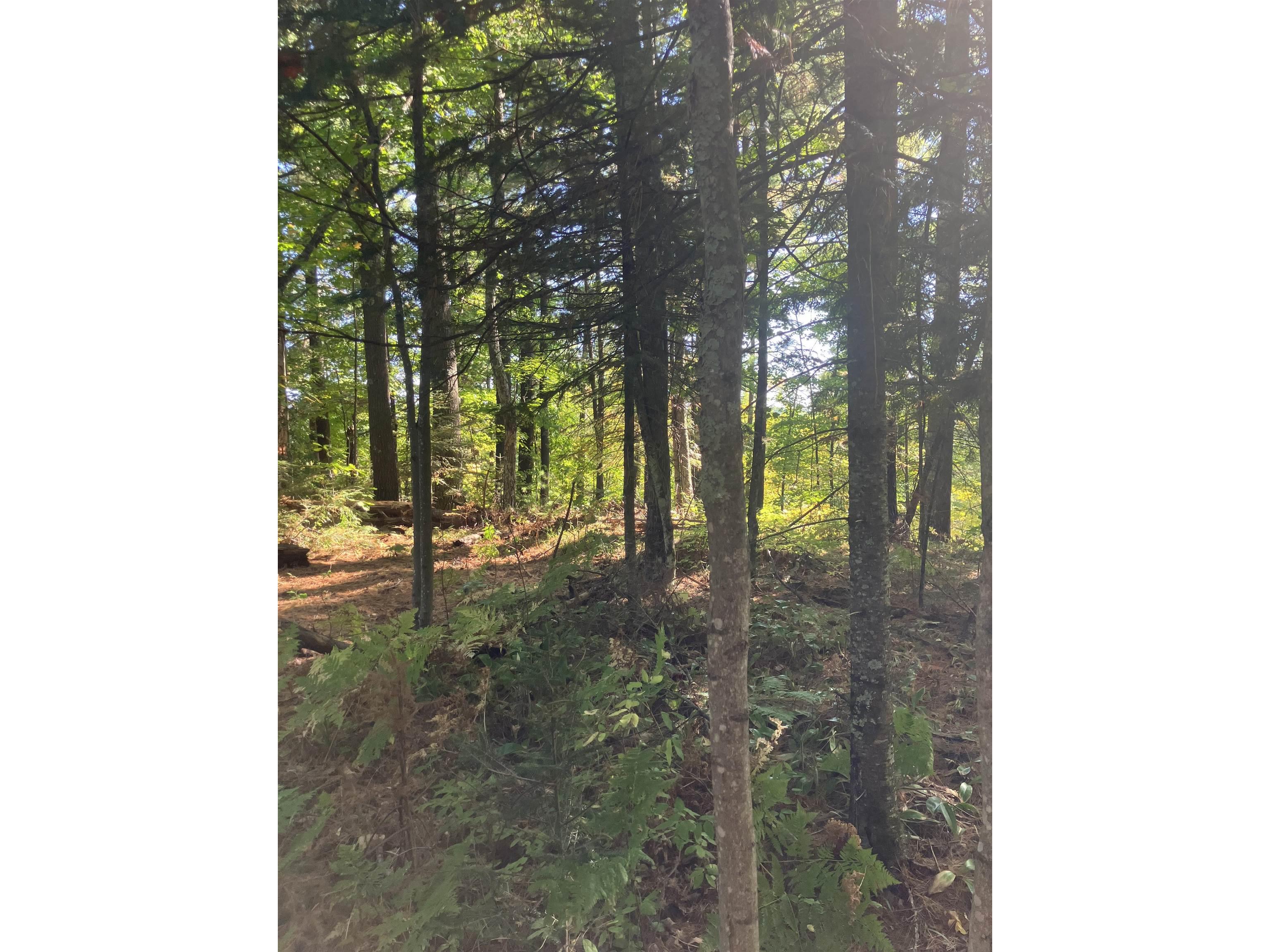 44890 Potato River Rd Saxon WI 54546 6122036 image11