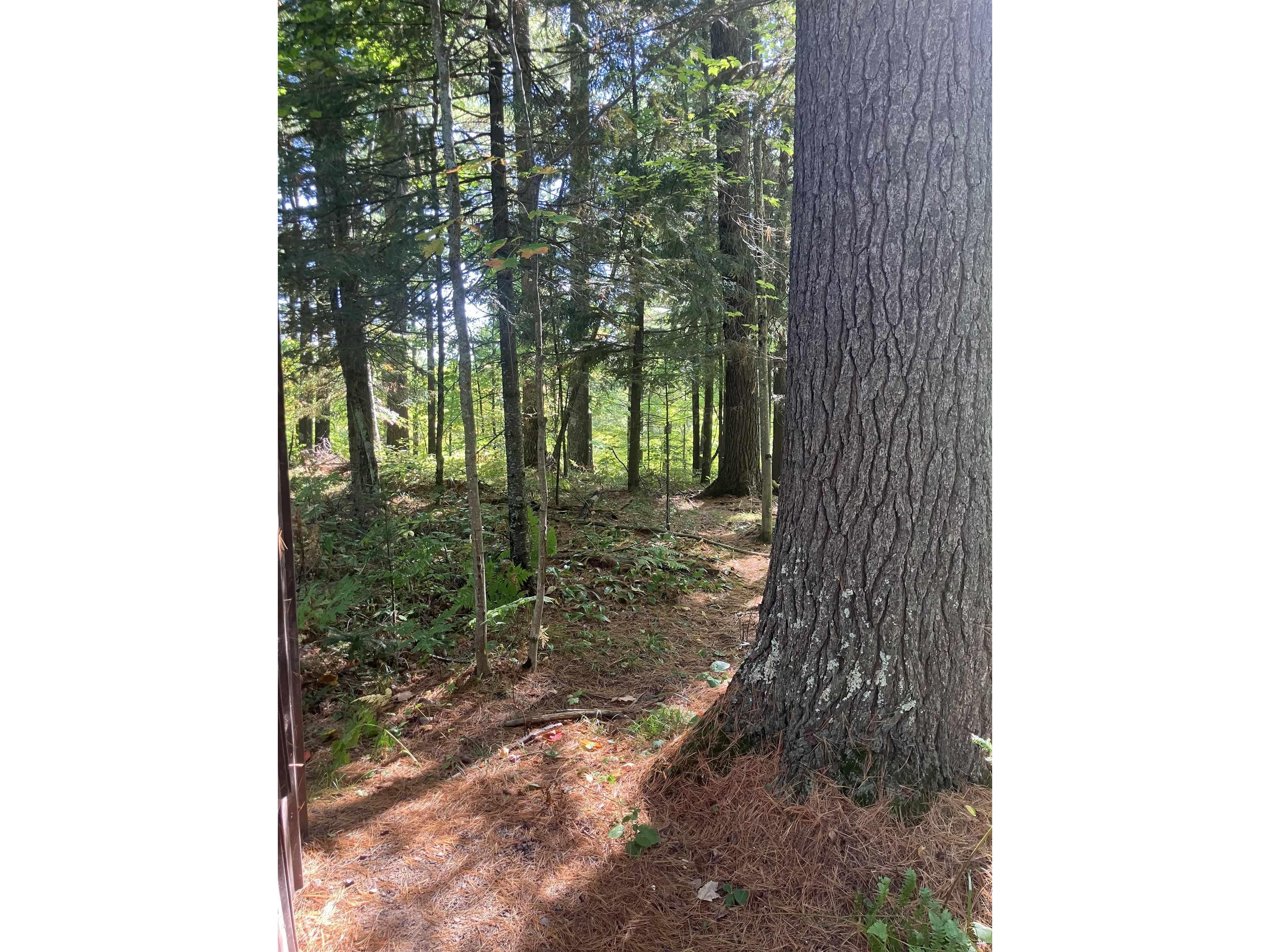 44890 Potato River Rd Saxon WI 54546 6122036 image12