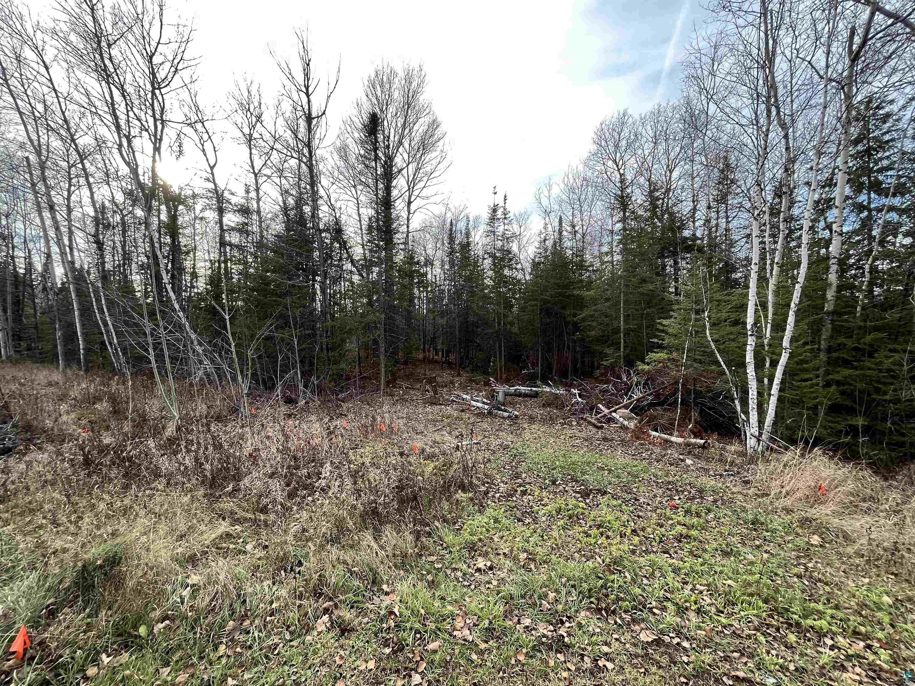 4541 Midway Rd Hermantown MN 55811 6111453 image1