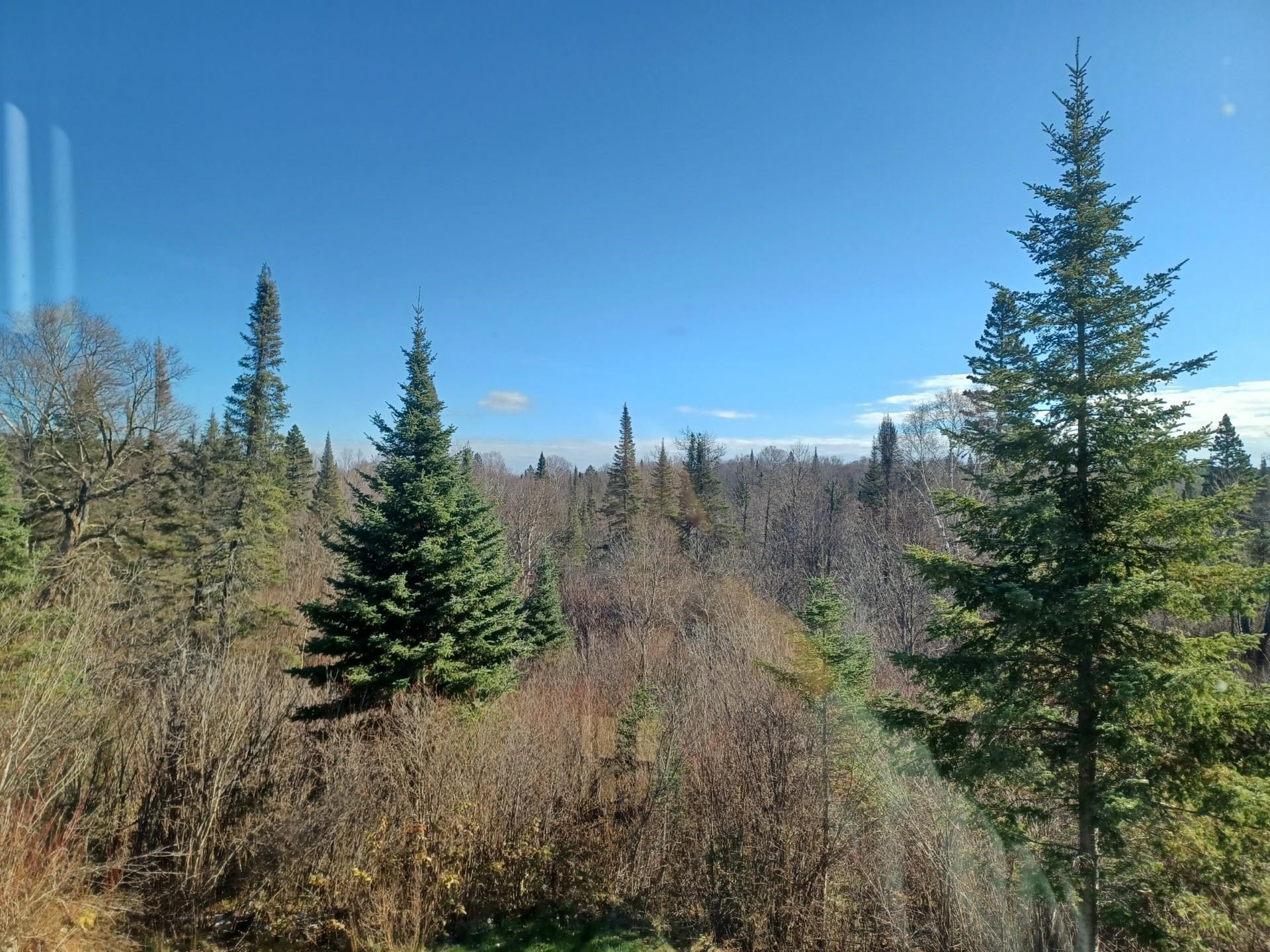 4571 Forest Rd 609 Finland MN 55603 6122608 image15