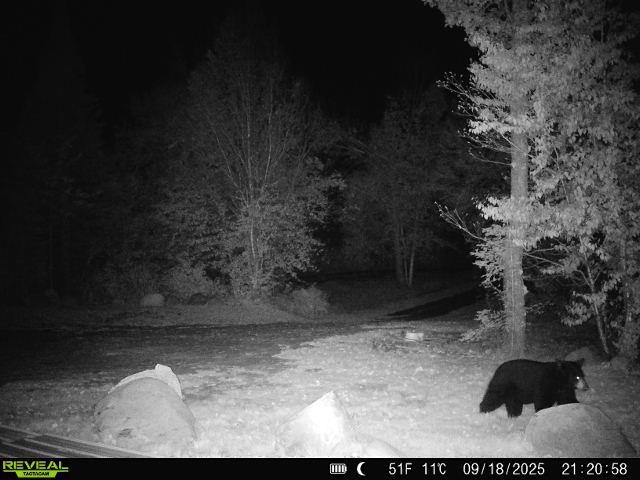 4571 Forest Rd 609 Finland MN 55603 6122608 image34