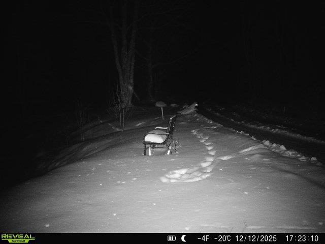 4571 Forest Rd 609 Finland MN 55603 6122608 image35