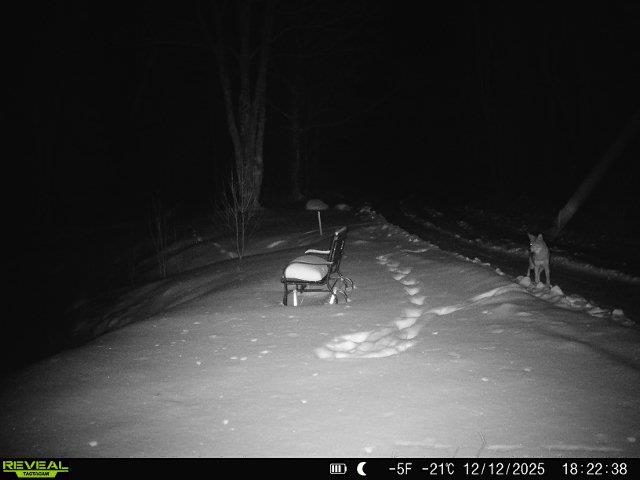 4571 Forest Rd 609 Finland MN 55603 6122608 image36