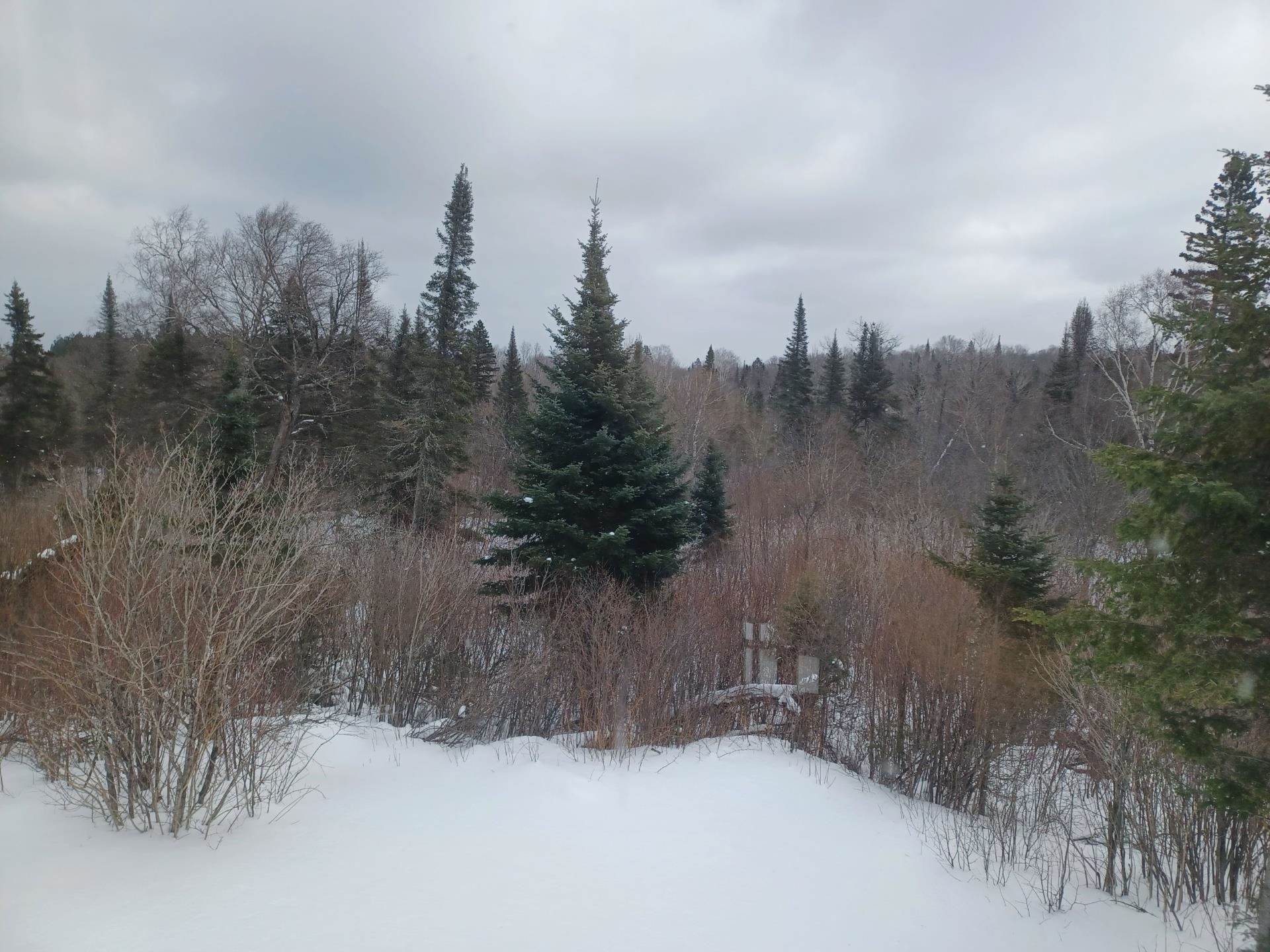 4571 Forest Rd 609 Finland MN 55603 6122608 image37