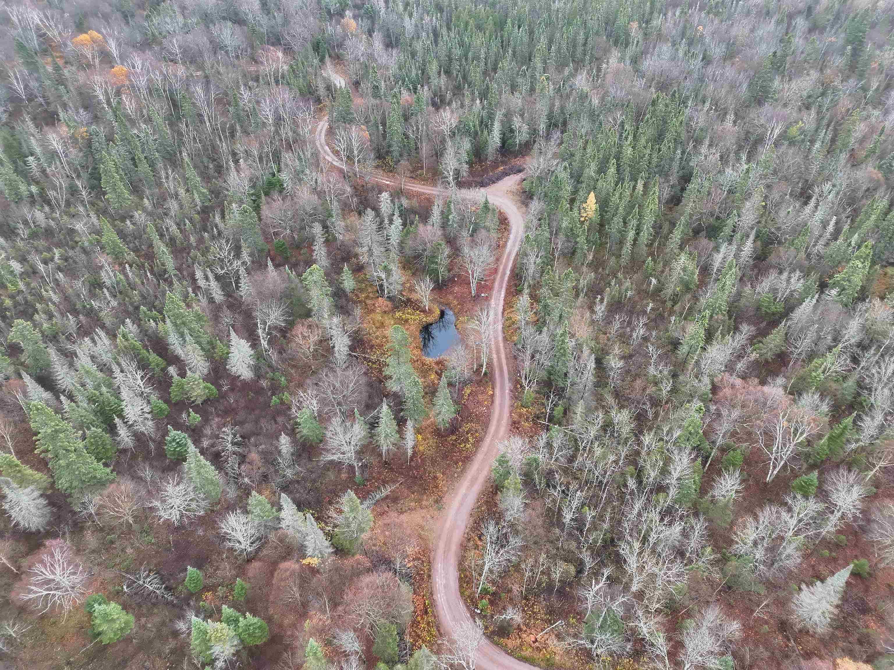 4571 Forest Rd 609 Finland MN 55603 6122608 image5