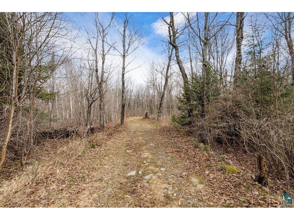 4598 McAlpine Spur Rd Two Harbors MN 55616 6124823 image35